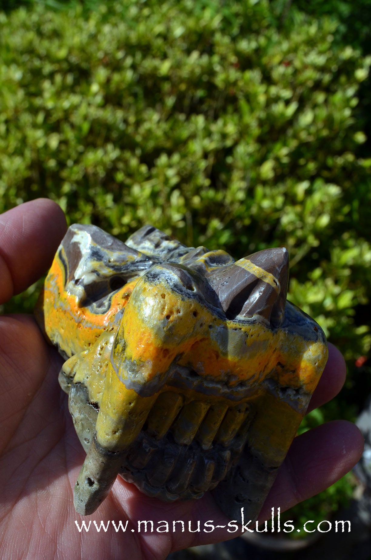 Bumble Bee Jasper Dragon