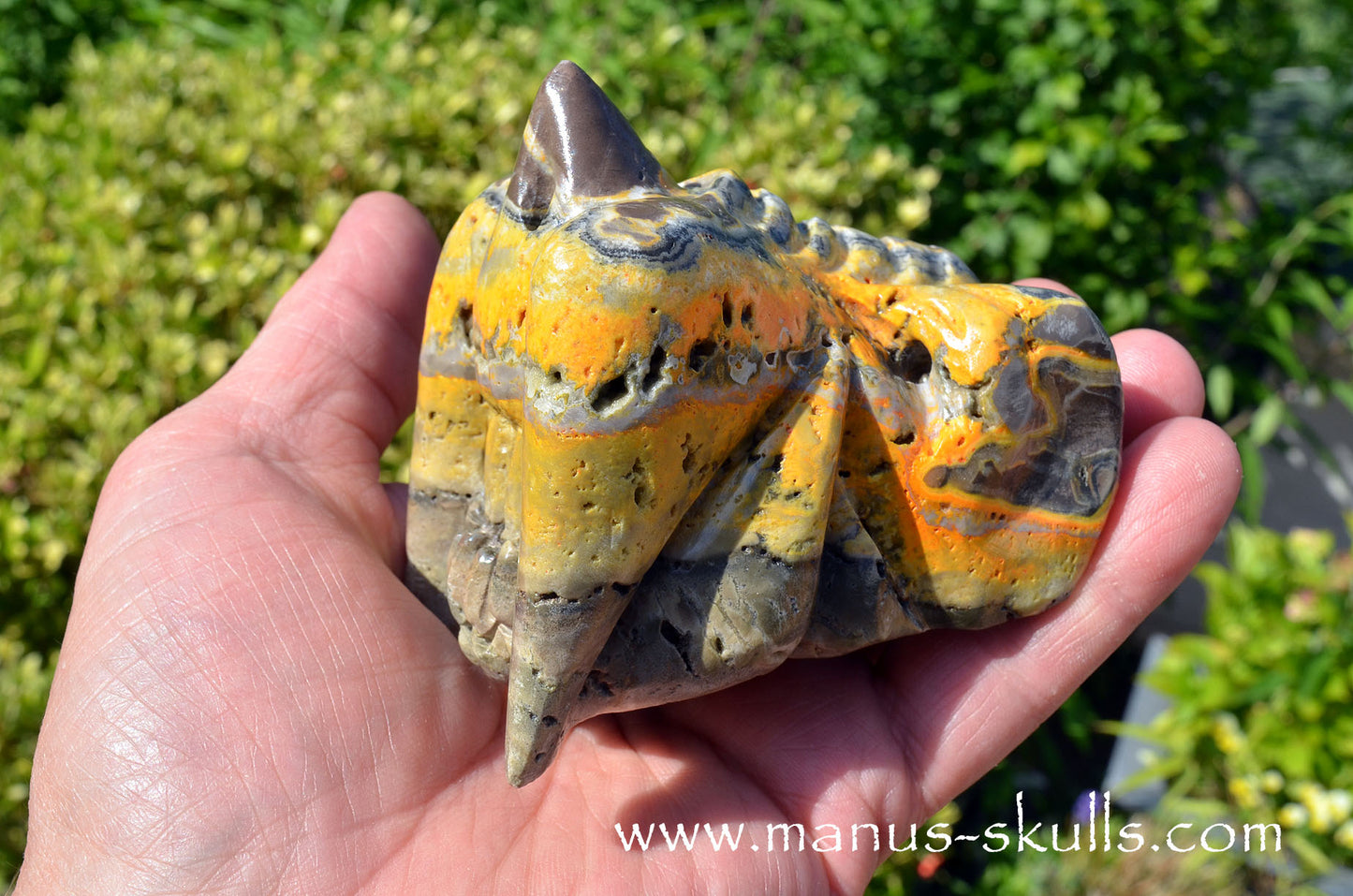 Bumble Bee Jasper Dragon