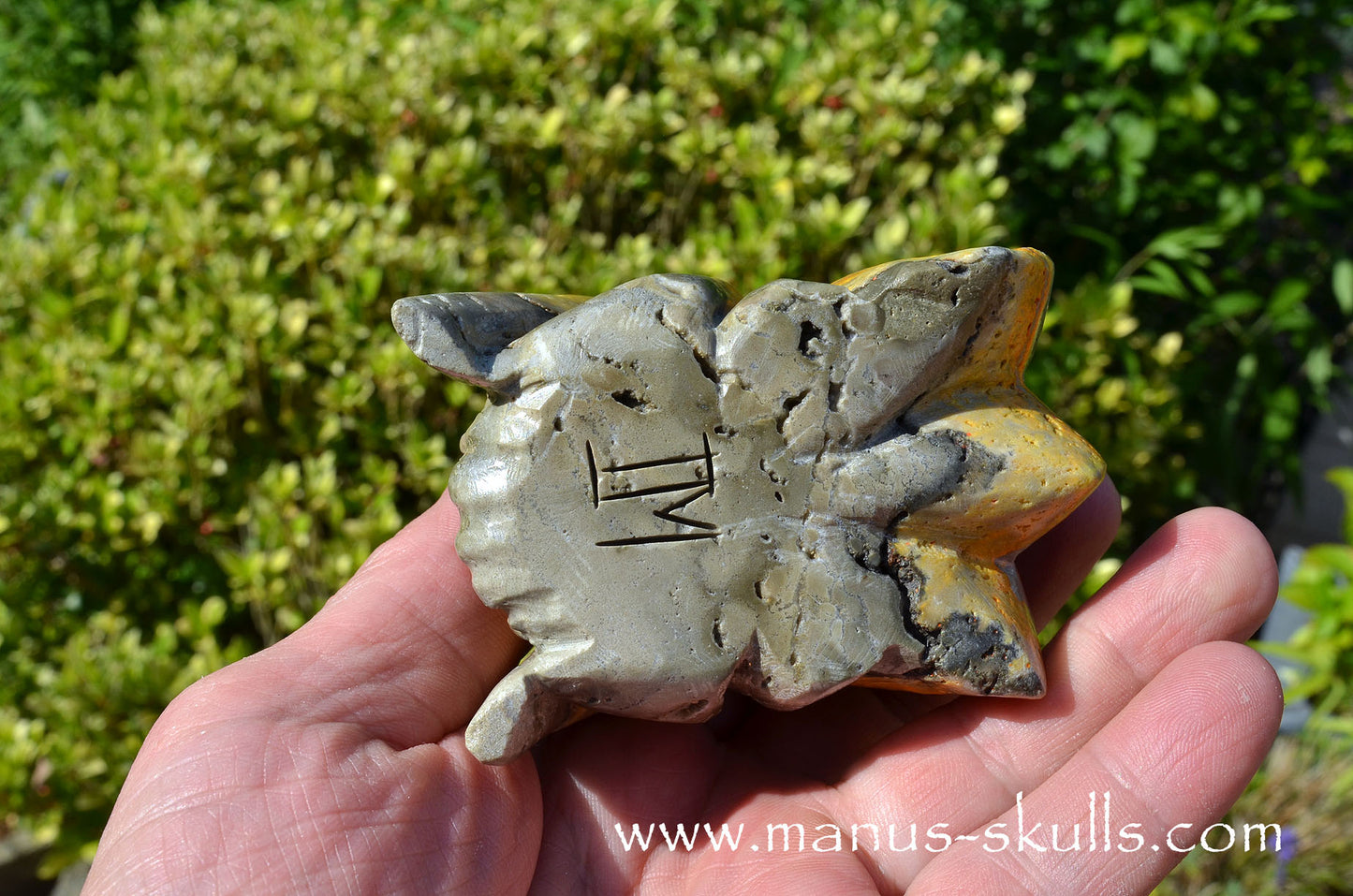 Bumble Bee Jasper Dragon
