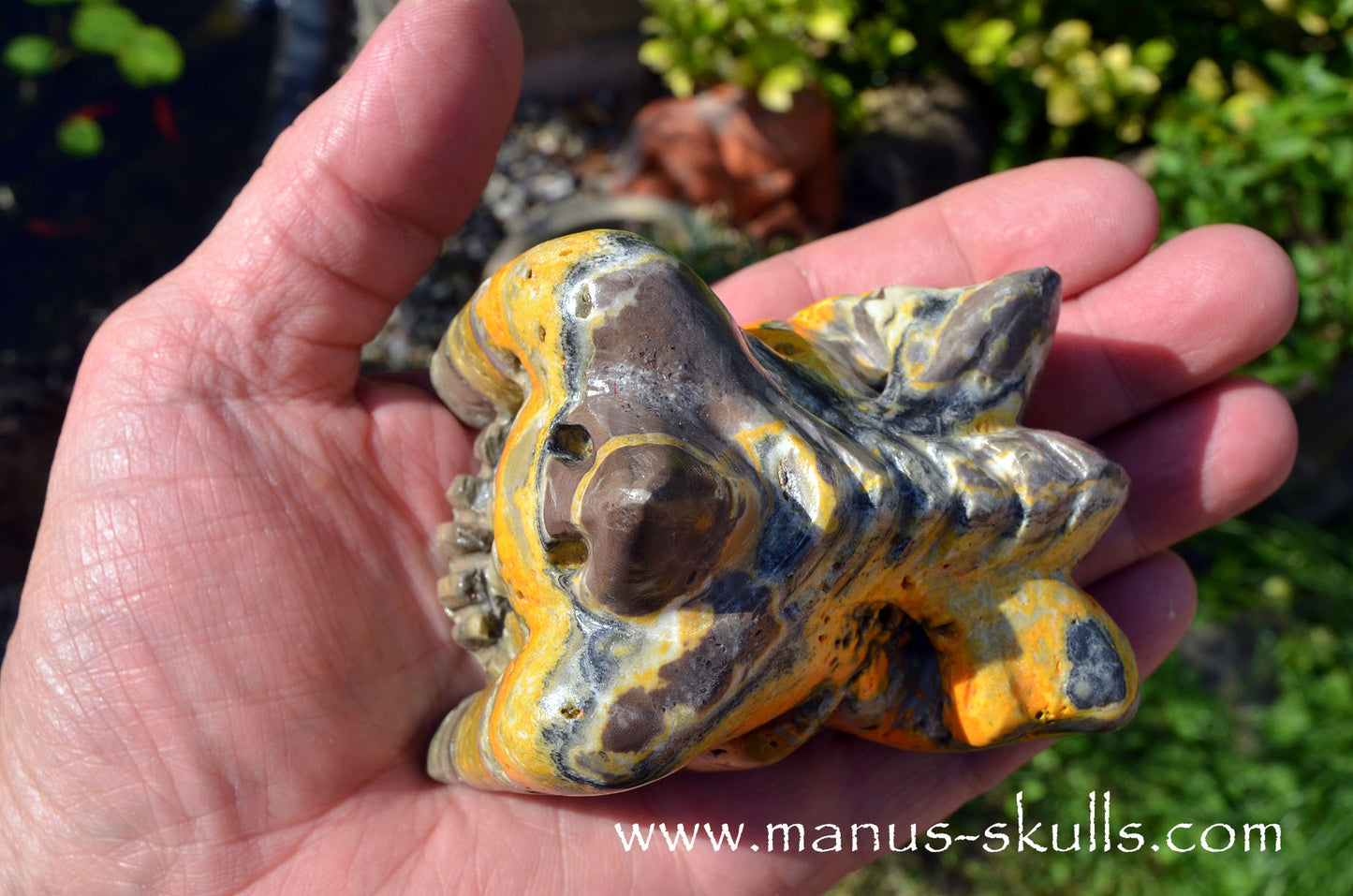 Bumble Bee Jasper Dragon
