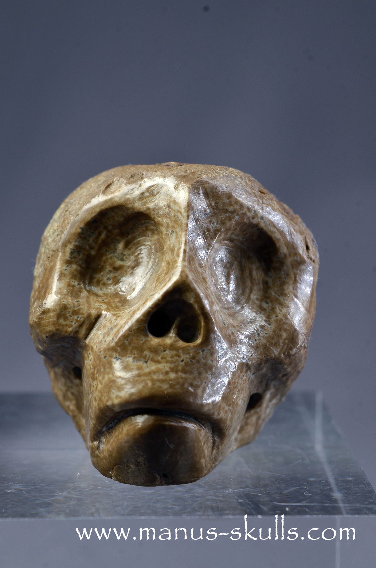 Small Aragonite Nodul Character Skull