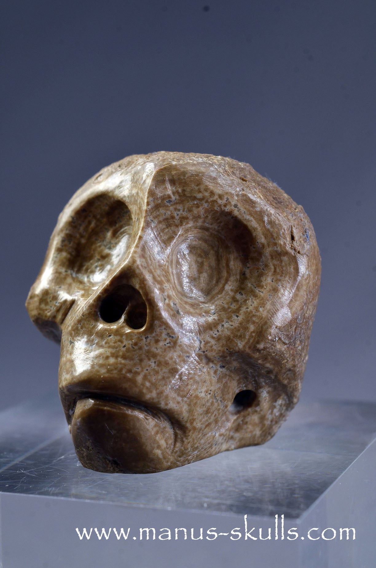 Small Aragonite Nodul Character Skull