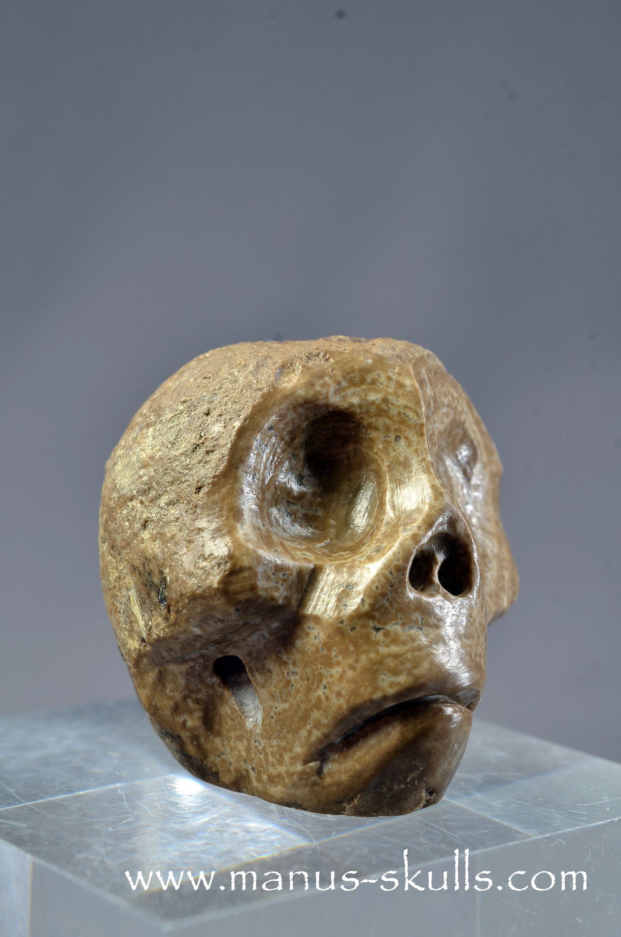 Small Aragonite Nodul Character Skull