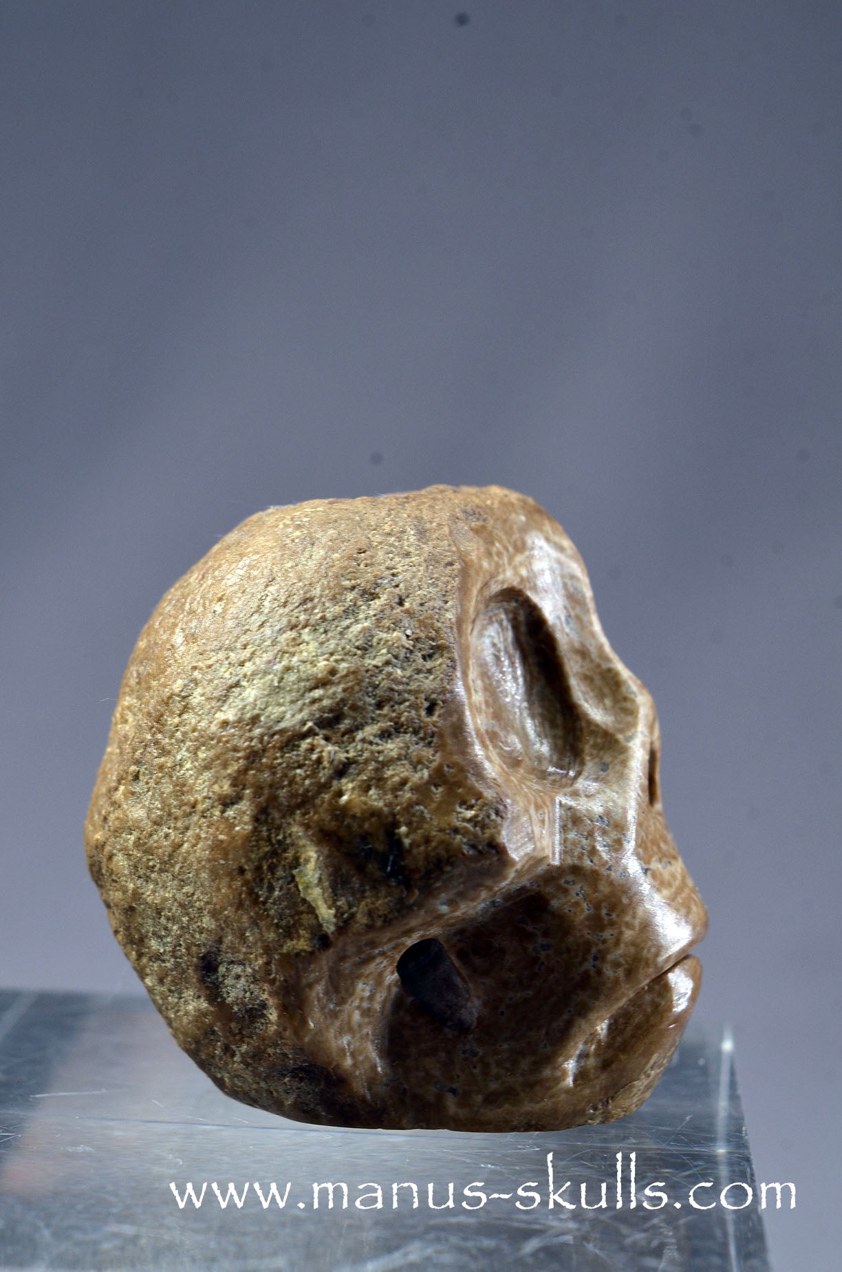 Small Aragonite Nodul Character Skull