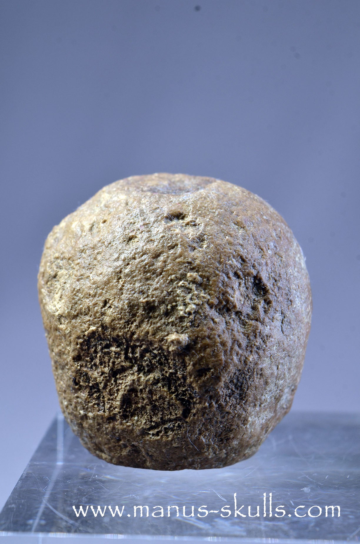 Small Aragonite Nodul Character Skull