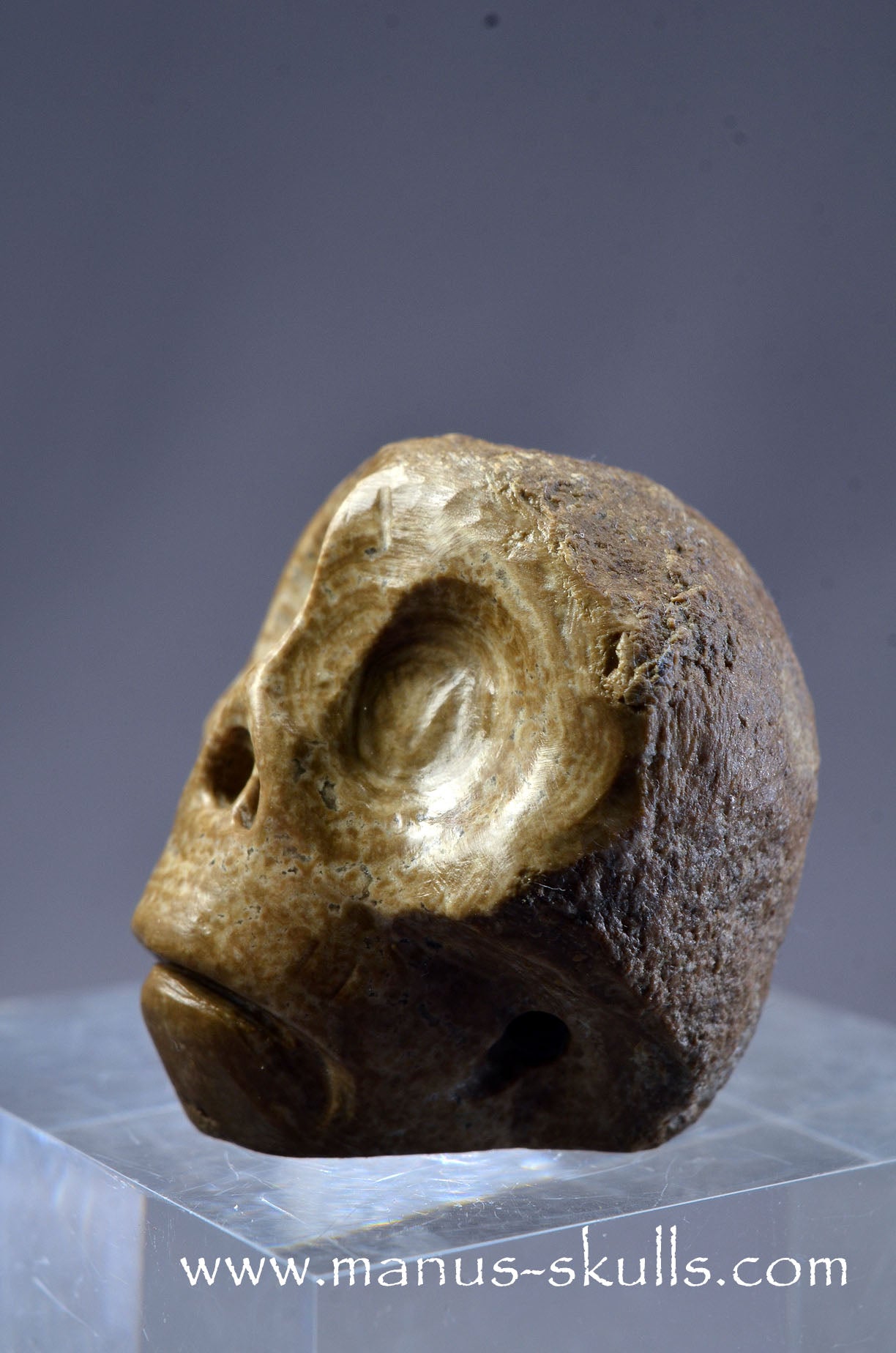 Small Aragonite Nodul Character Skull