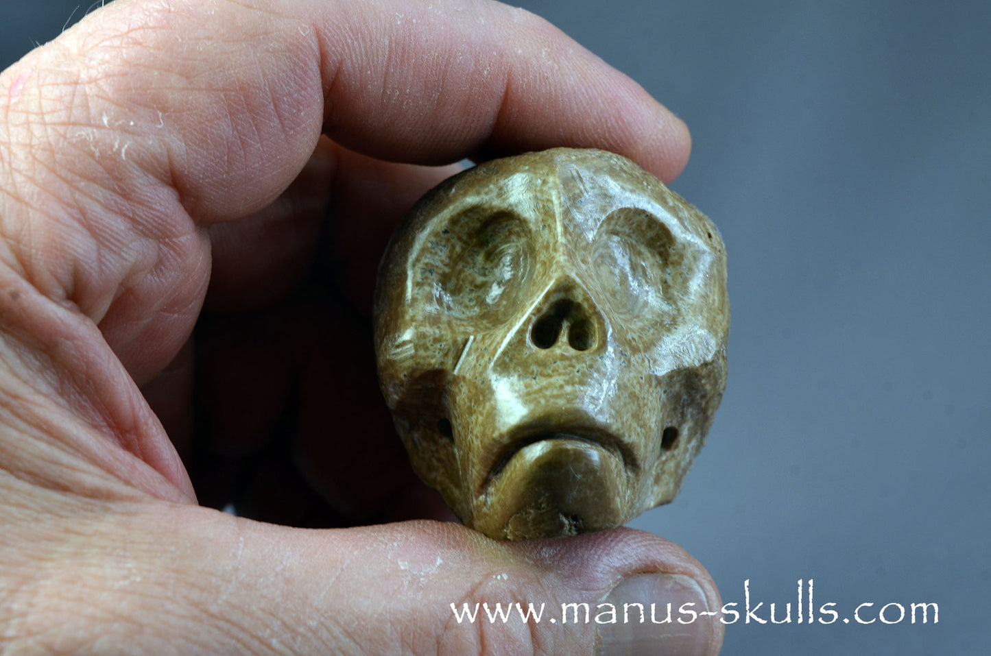 Small Aragonite Nodul Character Skull