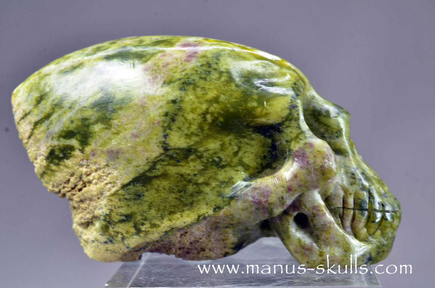LIZARDITE with MAGNESITE Conehead Skull