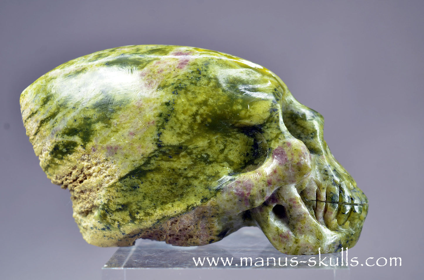 LIZARDITE with MAGNESITE Conehead Skull