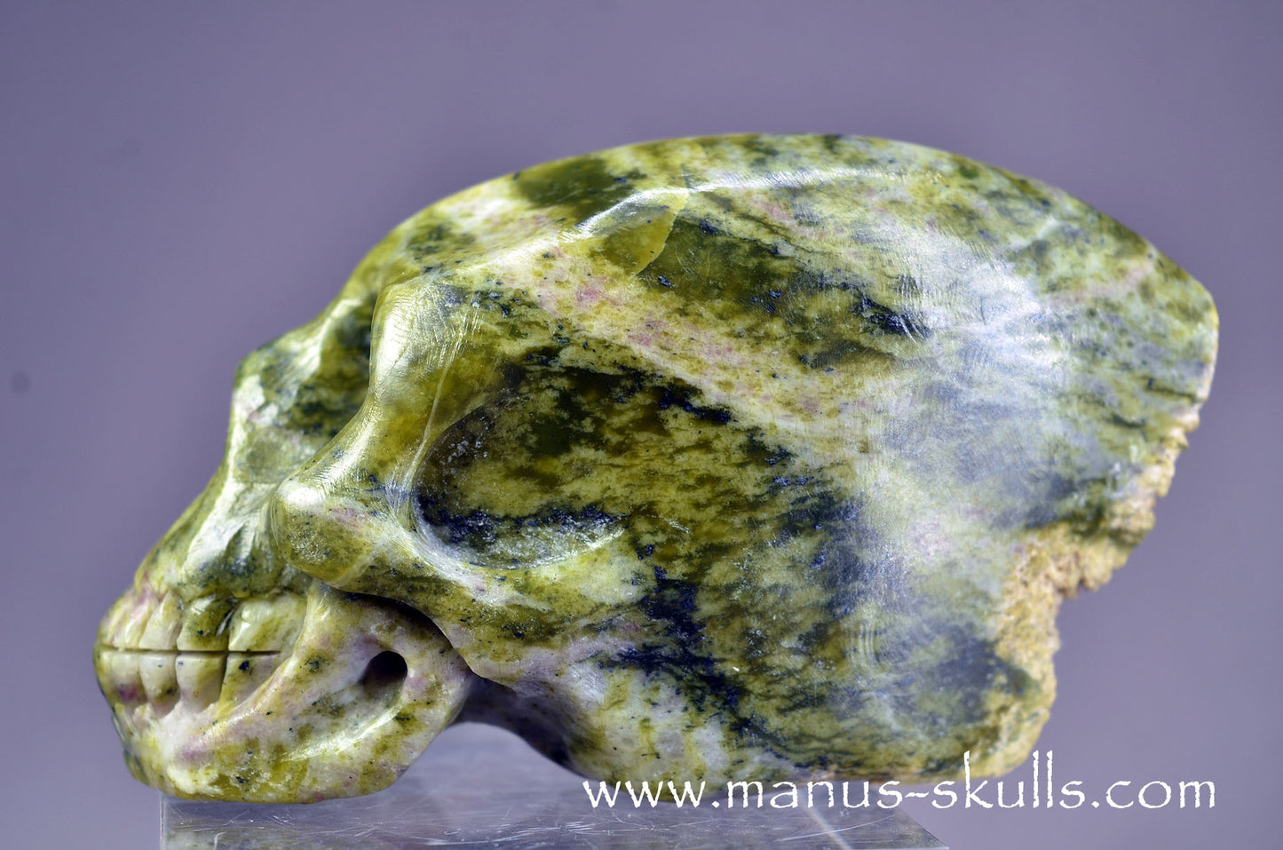 LIZARDITE with MAGNESITE Conehead Skull