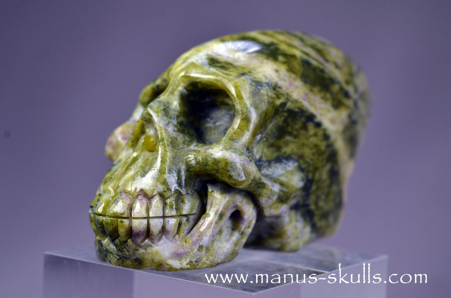 LIZARDITE with MAGNESITE Conehead Skull
