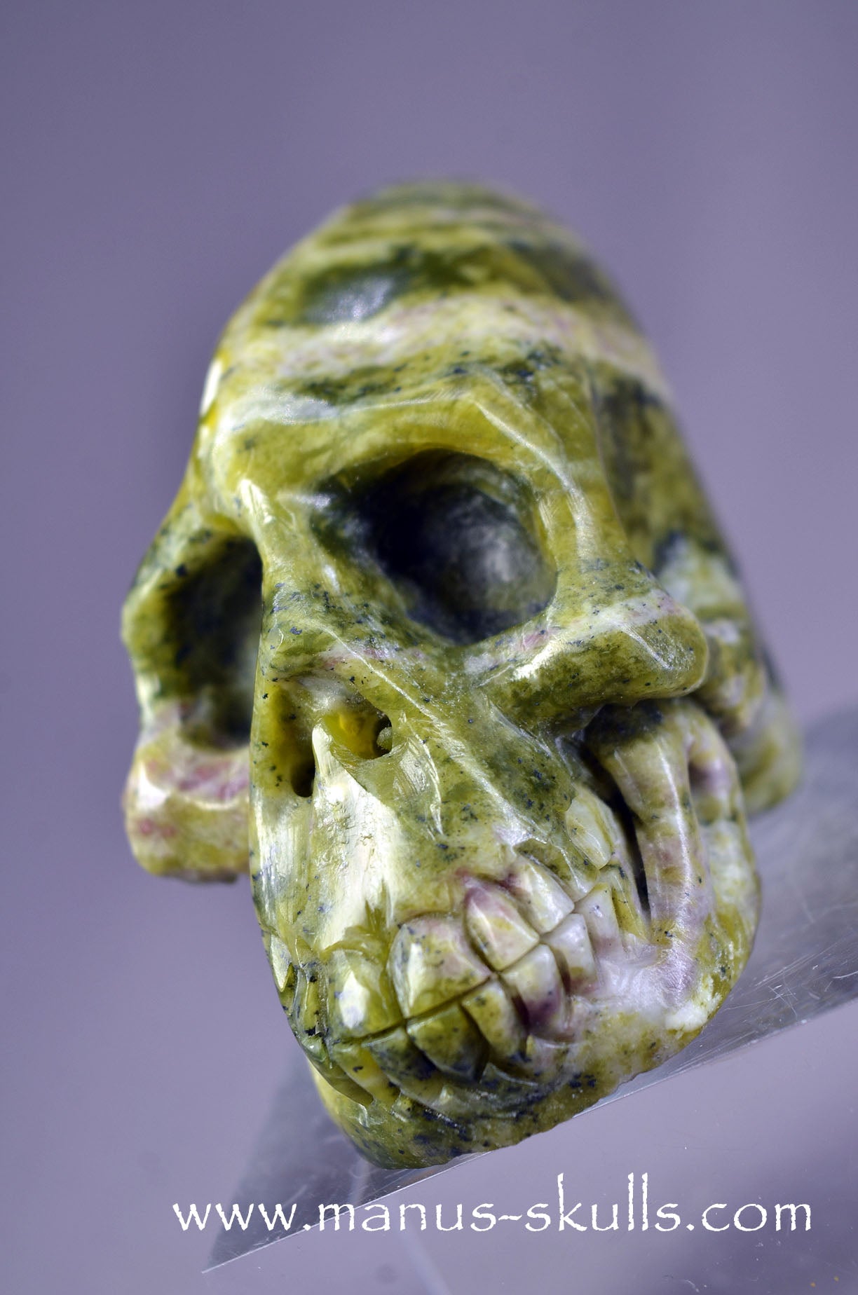 LIZARDITE with MAGNESITE Conehead Skull