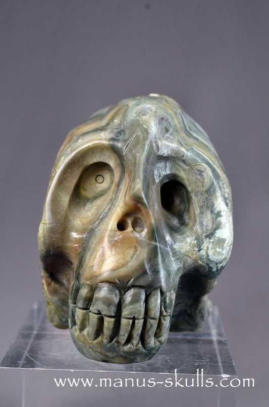 Manus skulls Evolians Dragolians unique Crystal Carvings handmade skulls dragons pendants preseli bluestone tribals spiritual meaning wand Unicorn ..  lierbach agate lithophyse , thunderegg