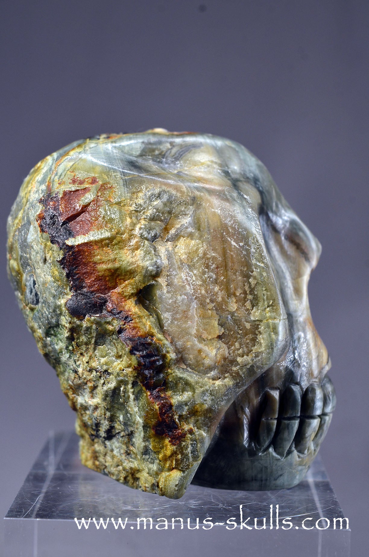 Lierbach Agate Thunderegg Skull