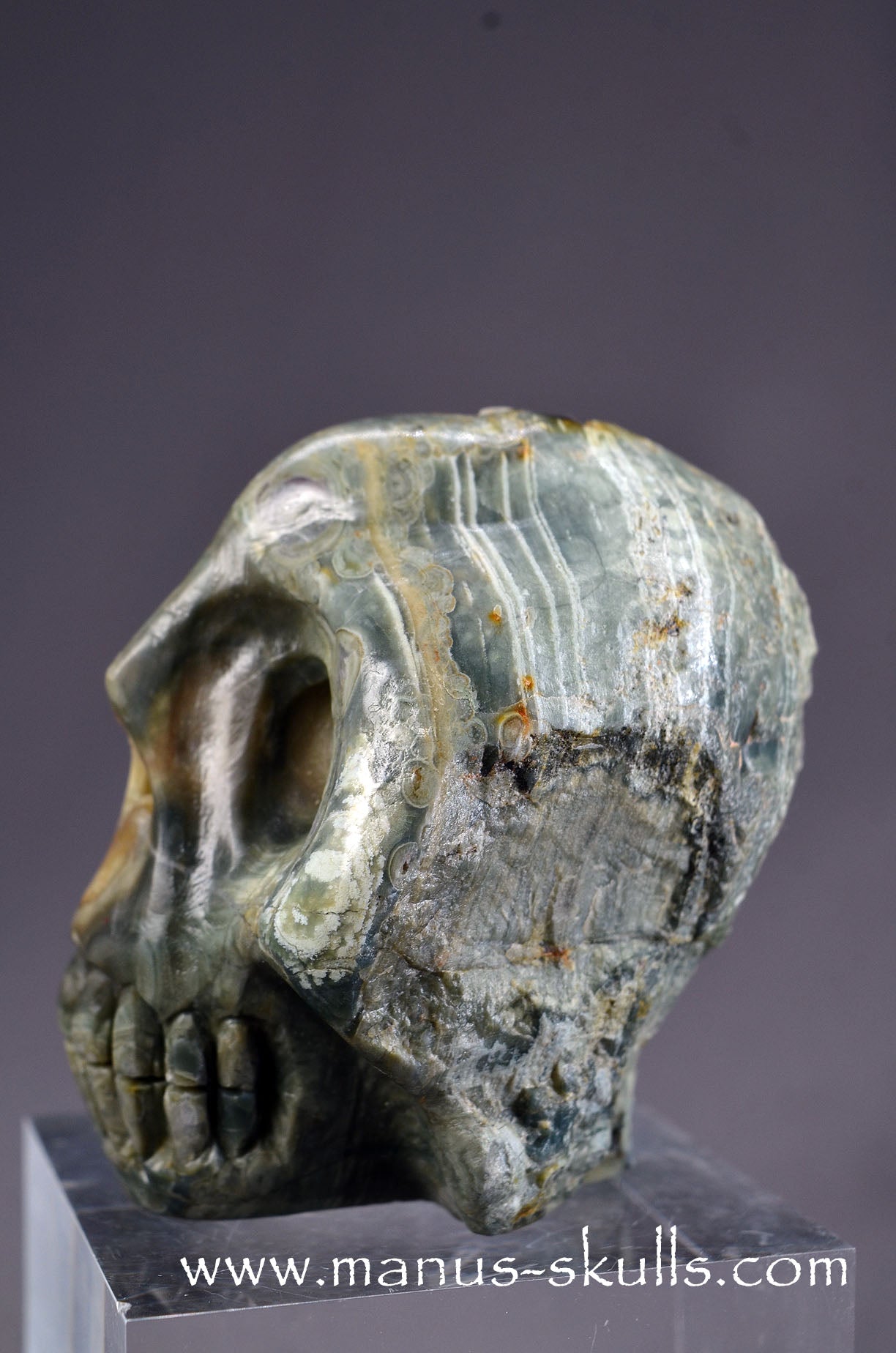 Lierbach Agate Thunderegg Skull