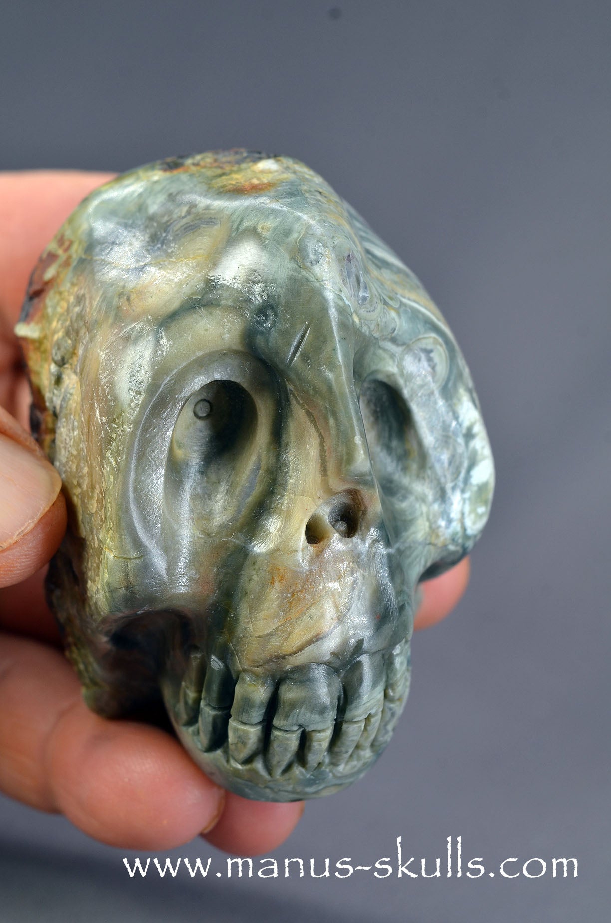 Lierbach Agate Thunderegg Skull