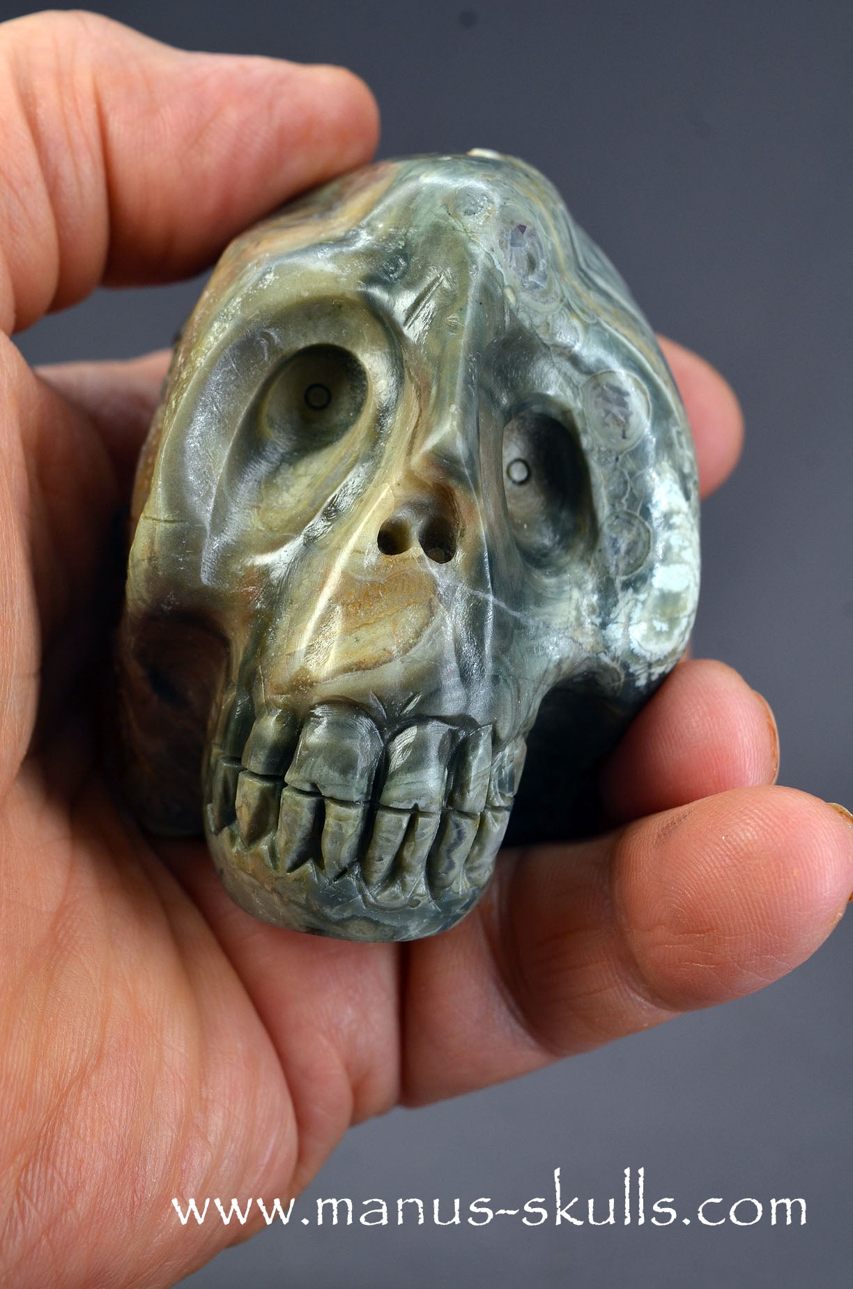 Lierbach Agate Thunderegg Skull