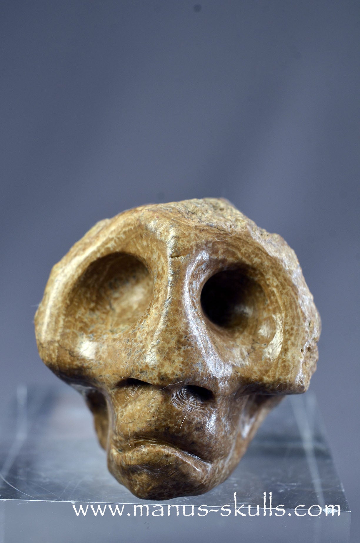 Manus skulls Evolians Dragolians unique Crystal Carvings handmade skulls dragons pendants preseli bluestone tribals spiritual meaning wand Unicorn ..  aragonite