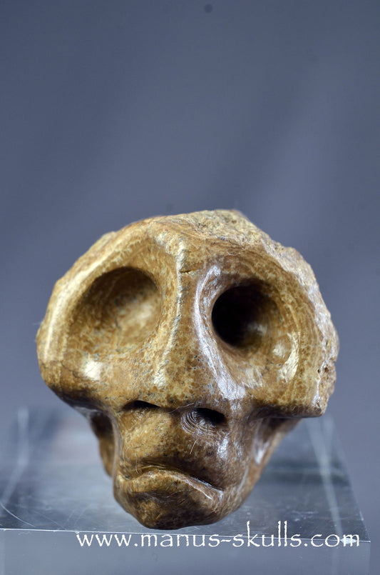 Manus skulls Evolians Dragolians unique Crystal Carvings handmade skulls dragons pendants preseli bluestone tribals spiritual meaning wand Unicorn ..  aragonite