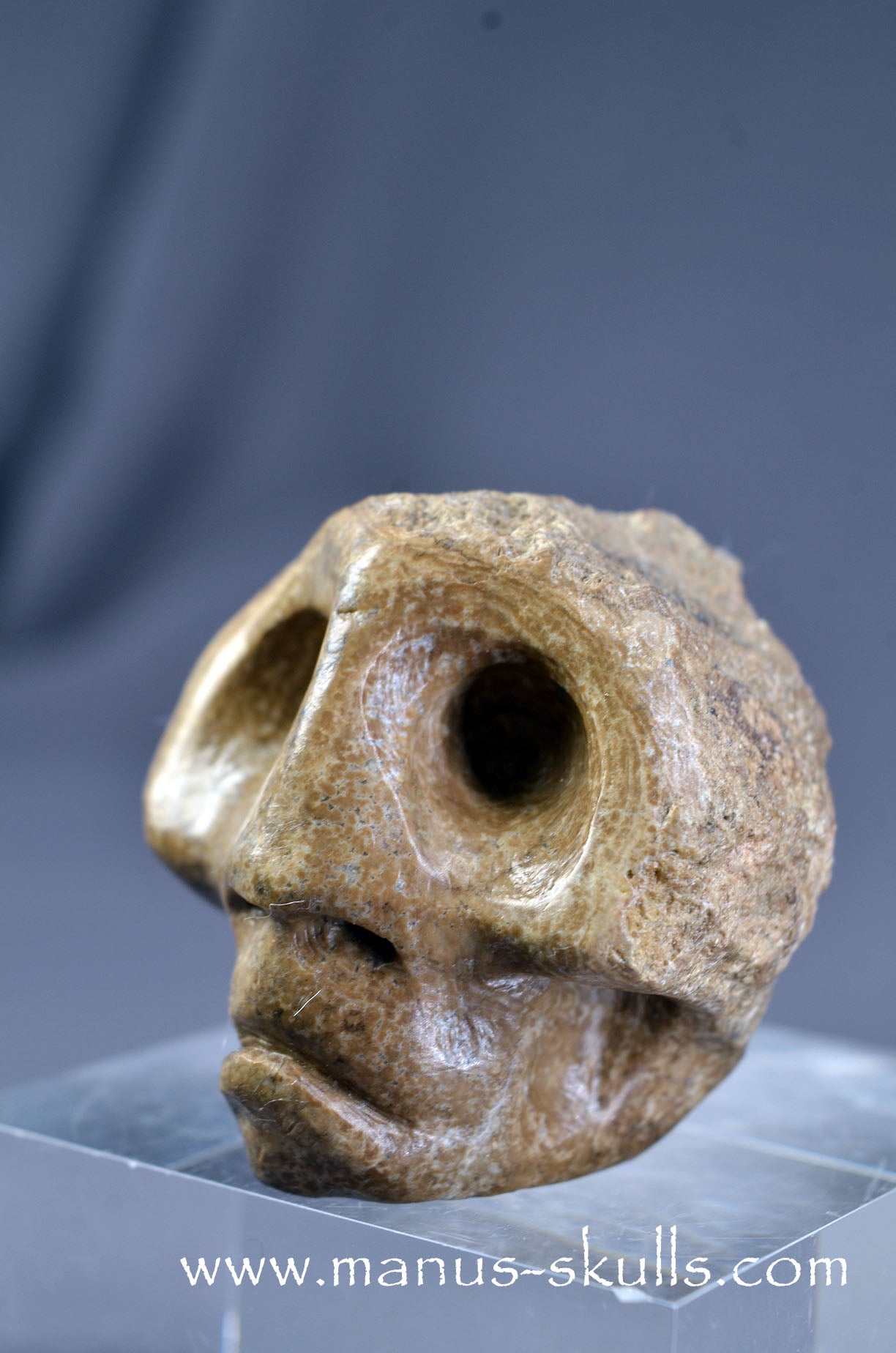Manus skulls Evolians Dragolians unique Crystal Carvings handmade skulls dragons pendants preseli bluestone tribals spiritual meaning wand Unicorn ..  aragonite