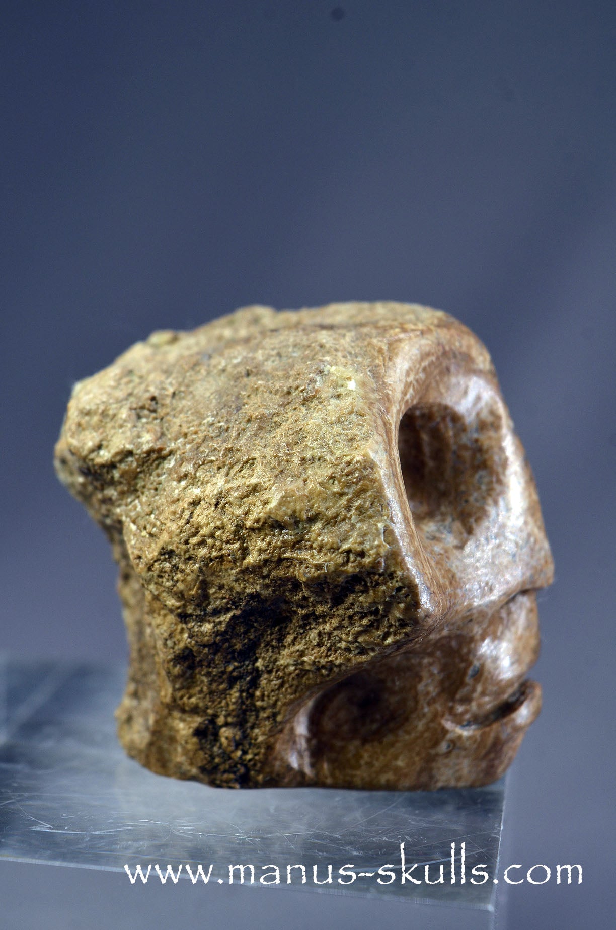 Aragonite Nodul Character Skull