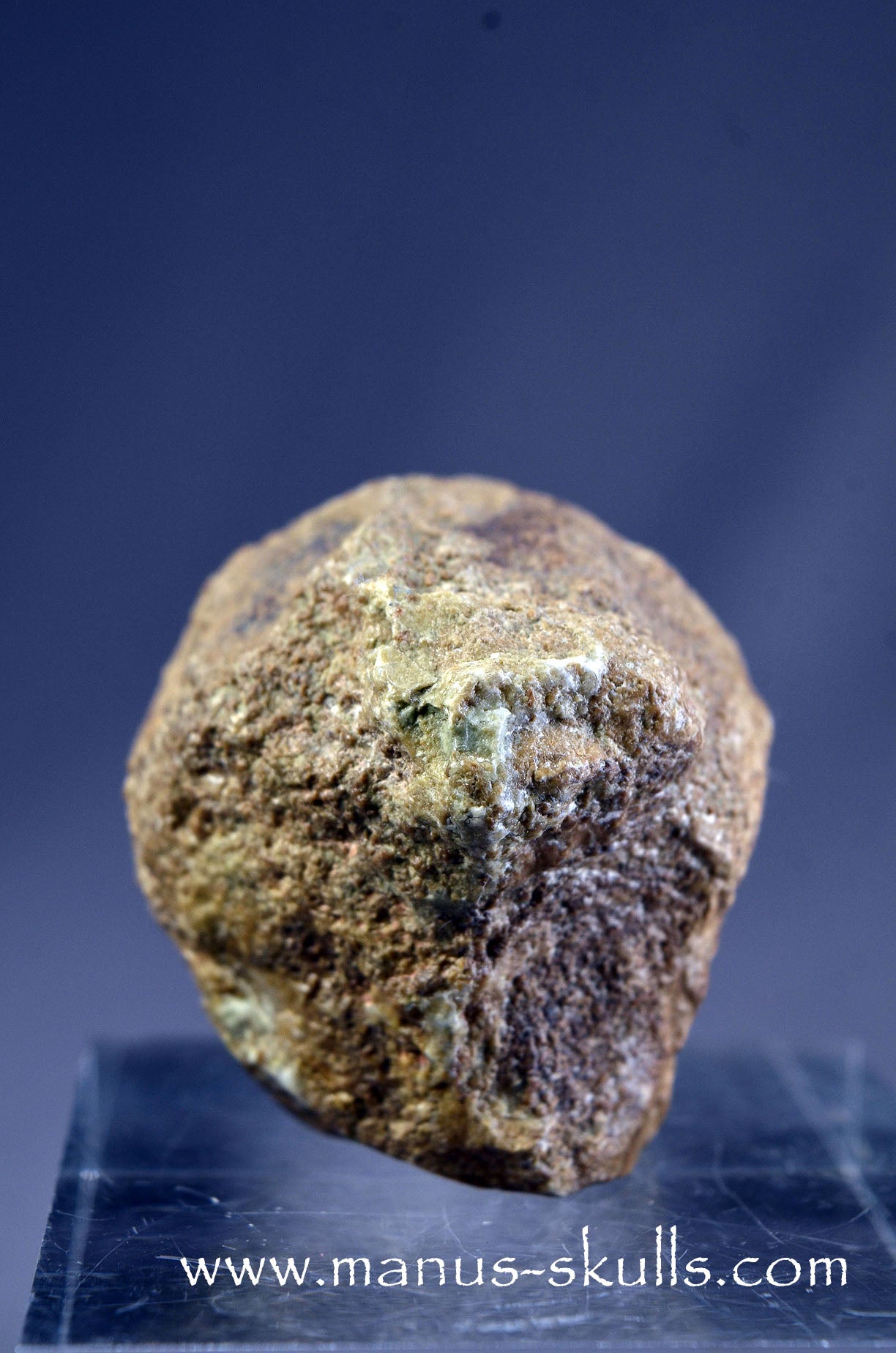 Aragonite Nodul Character Skull