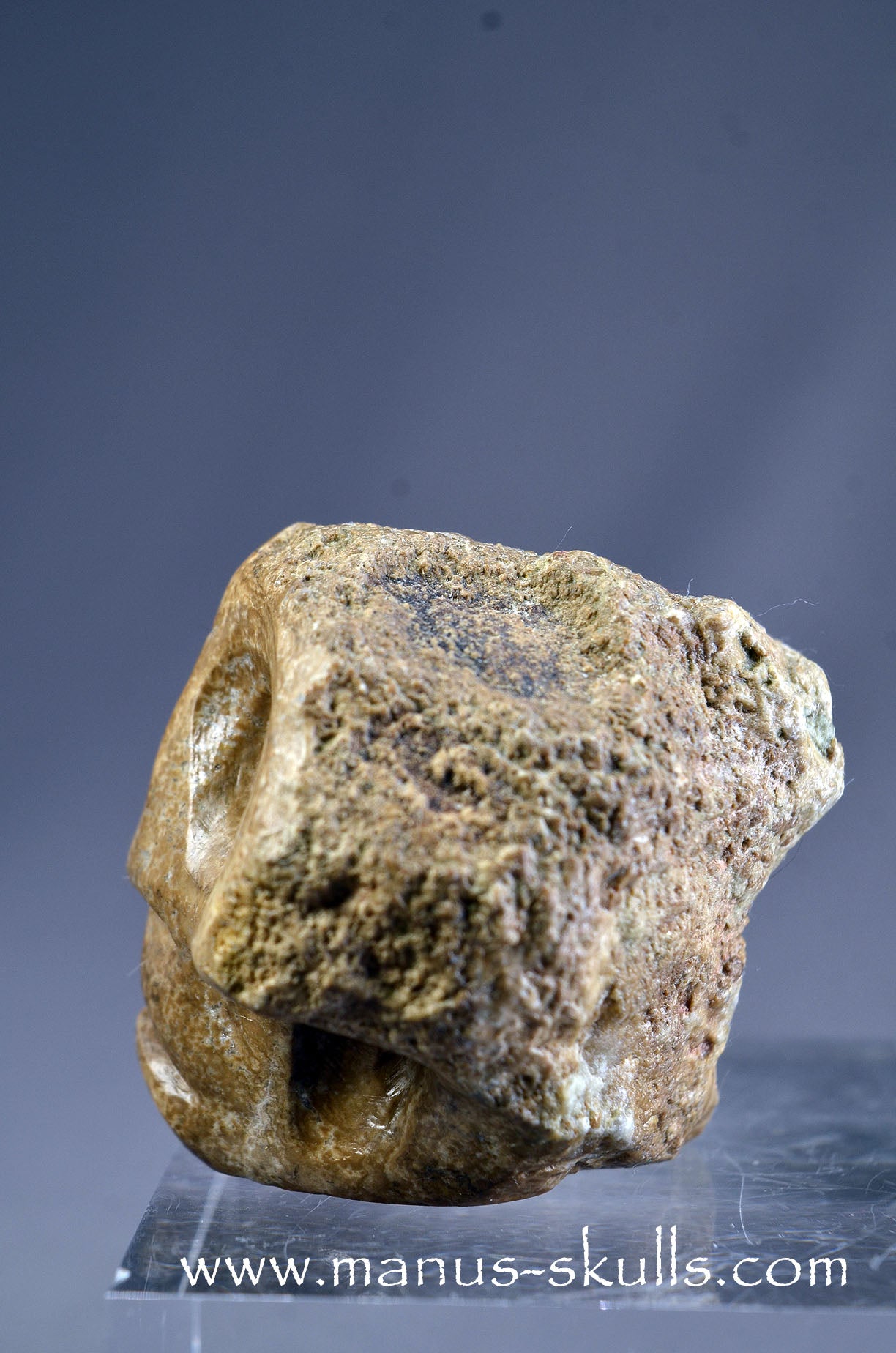Aragonite Nodul Character Skull