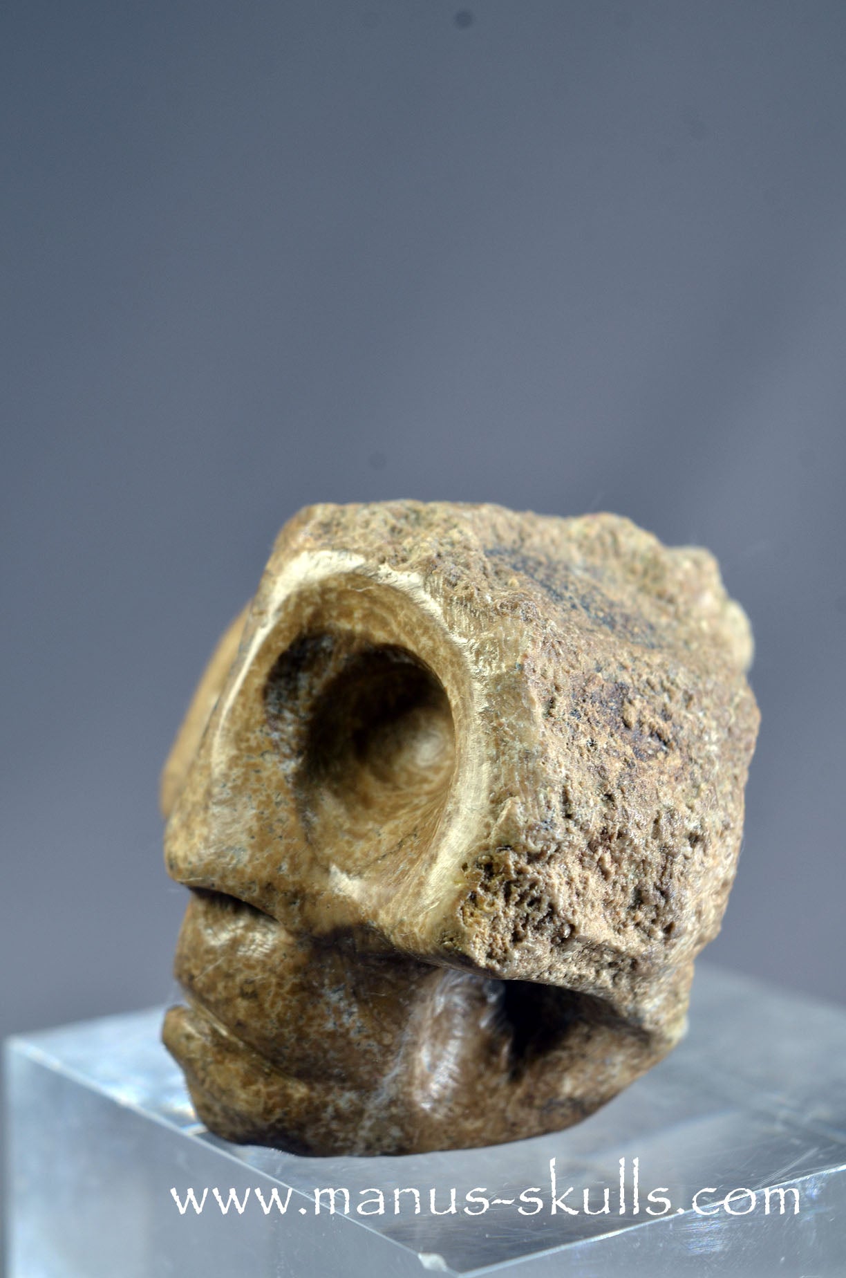 Aragonite Nodul Character Skull