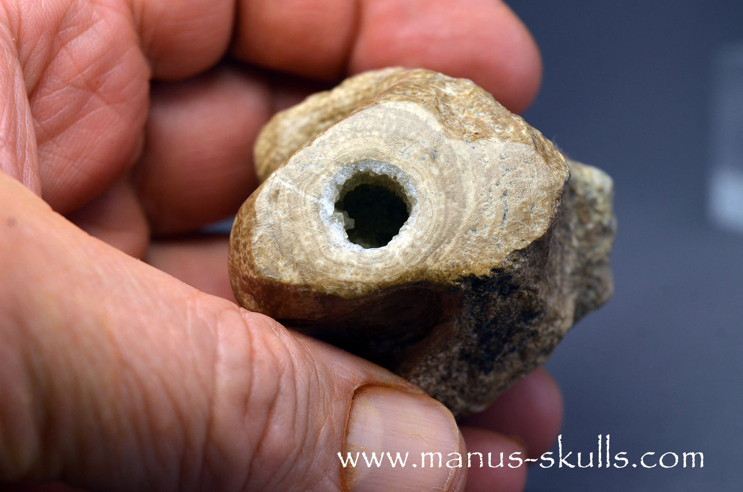 Aragonite Nodul Character Skull
