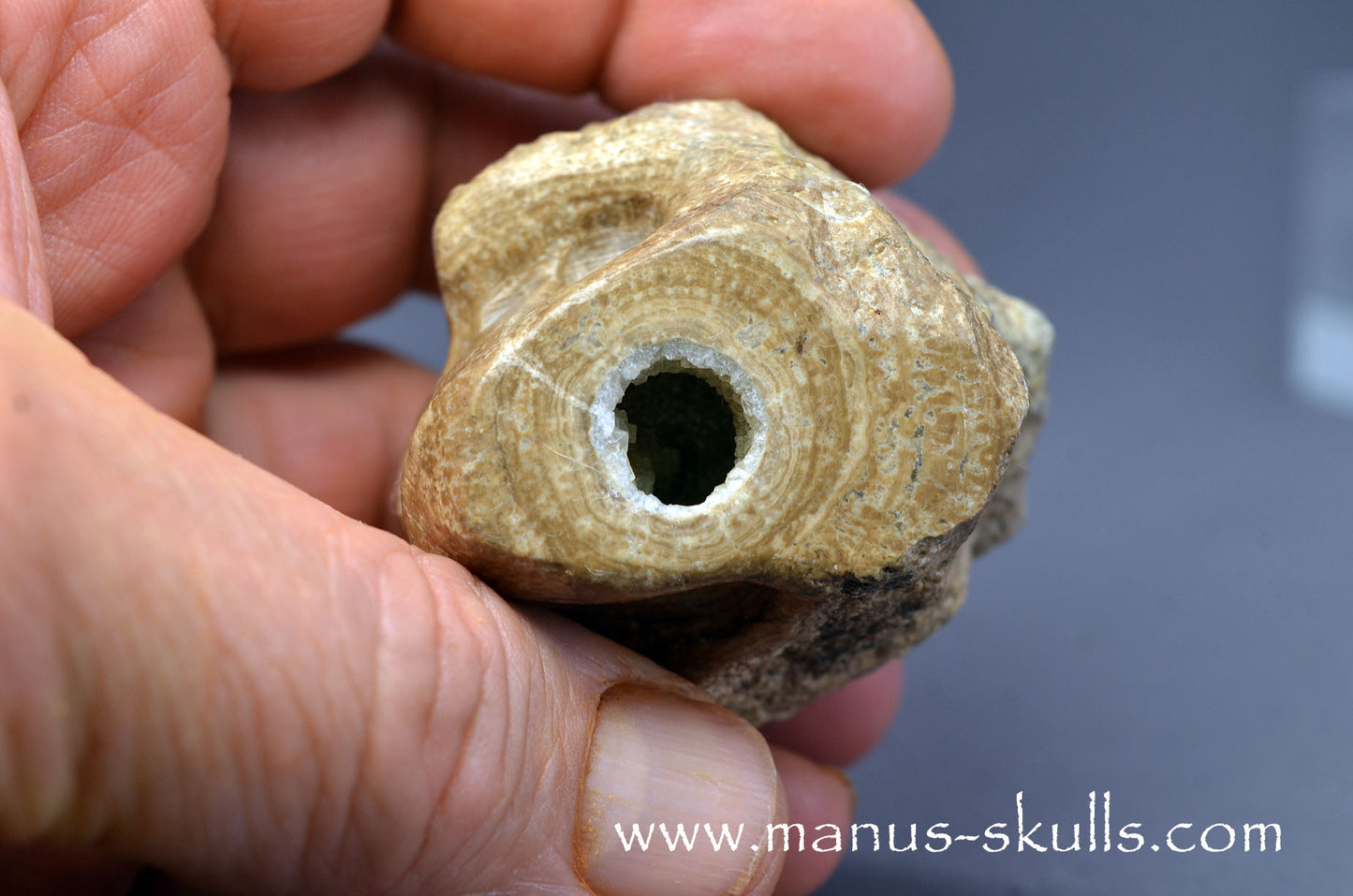 Aragonite Nodul Character Skull