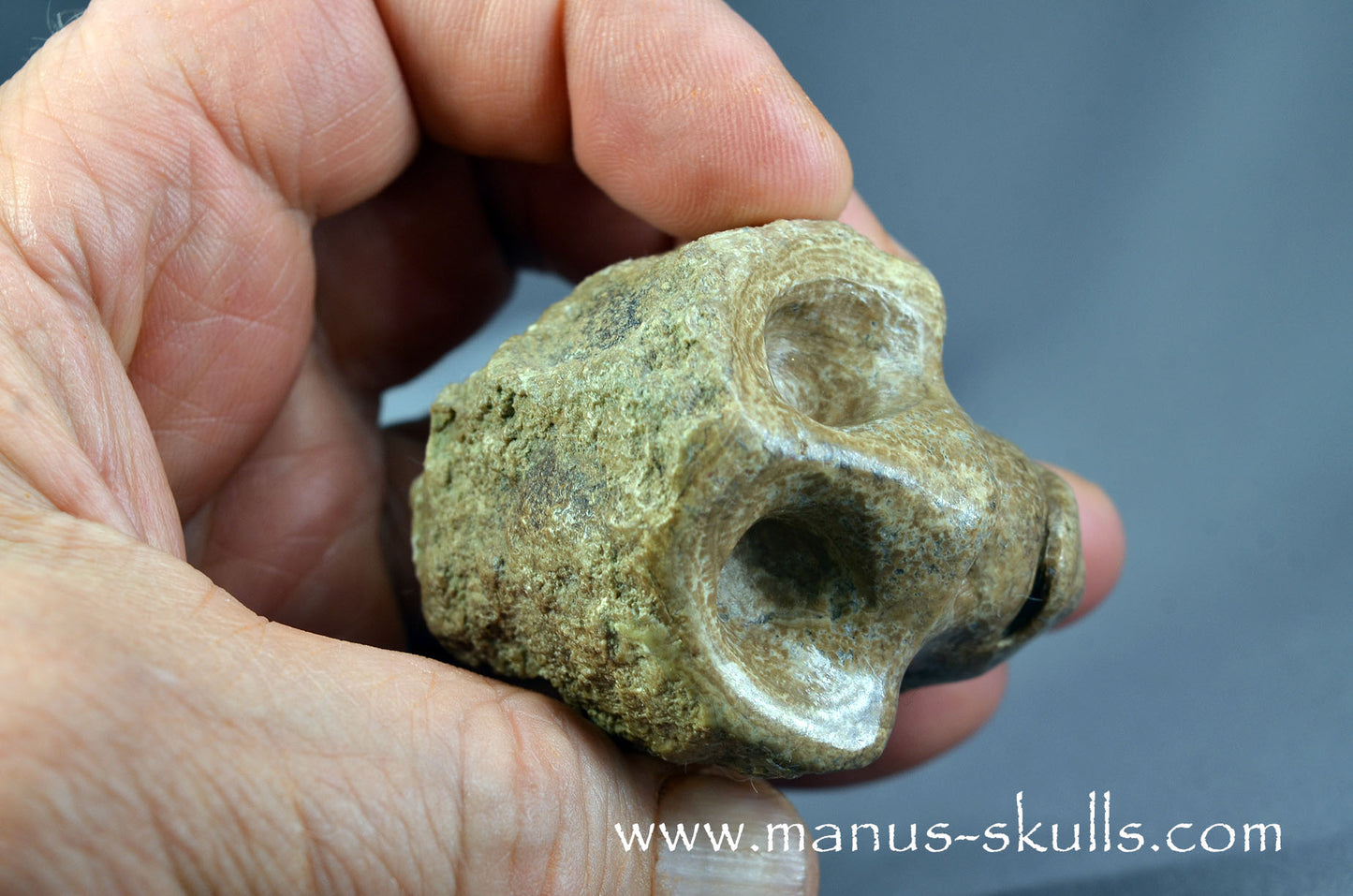 Aragonite Nodul Character Skull