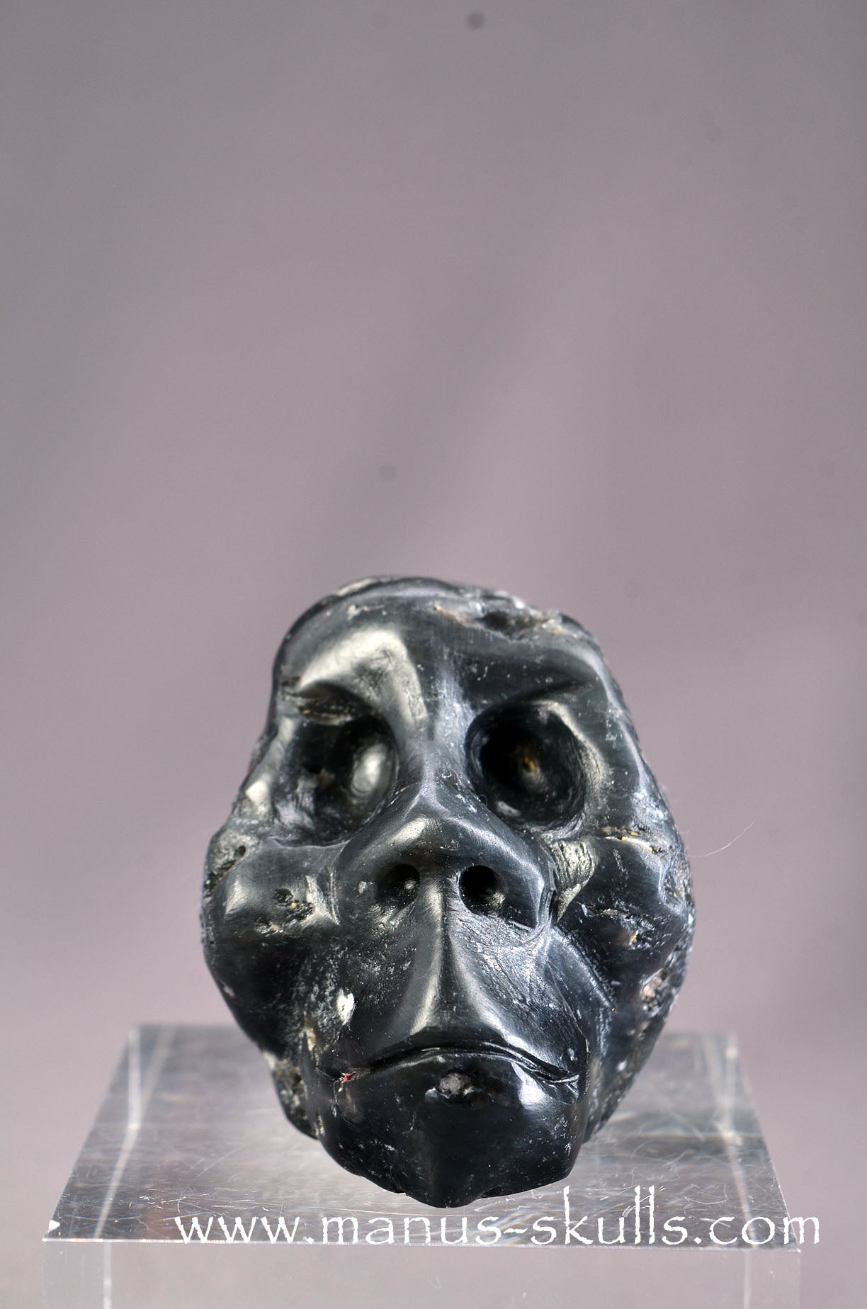 Agni Manitite Skull