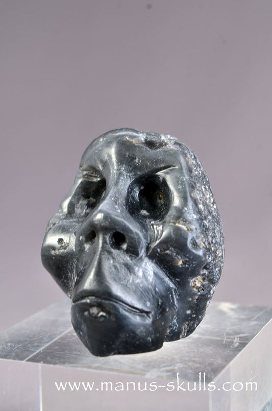Manus skulls Evolians Dragolians unique Crystal Carvings handmade skulls dragons pendants preseli bluestone tribals spiritual meaning wand Unicorn ..  agni manitite