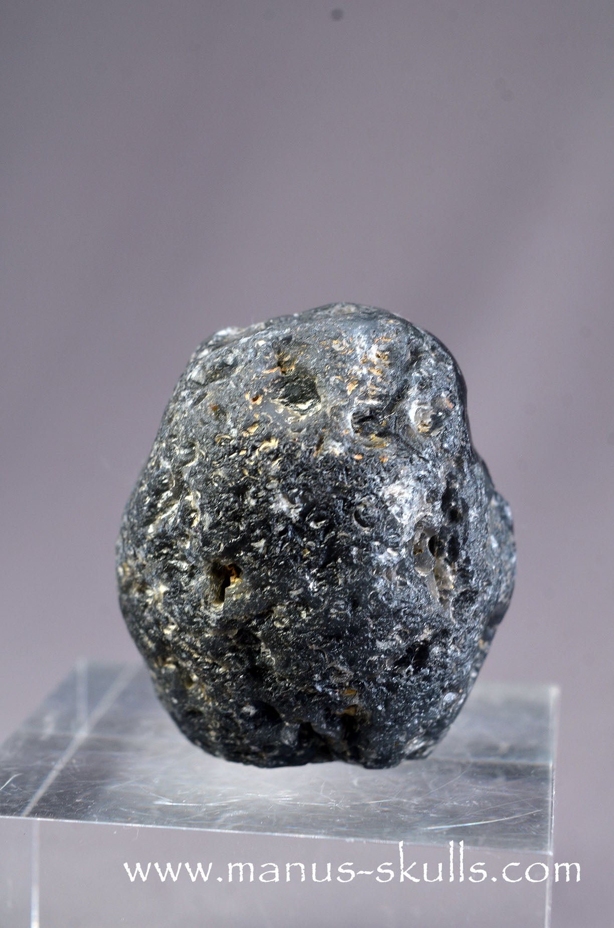 Agni Manitite Skull