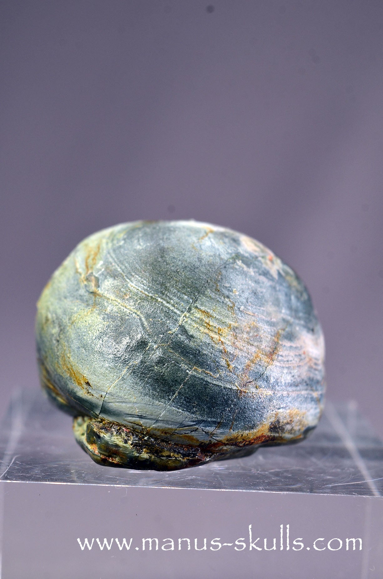 Lierbach Agate Thunderegg Baby Skull