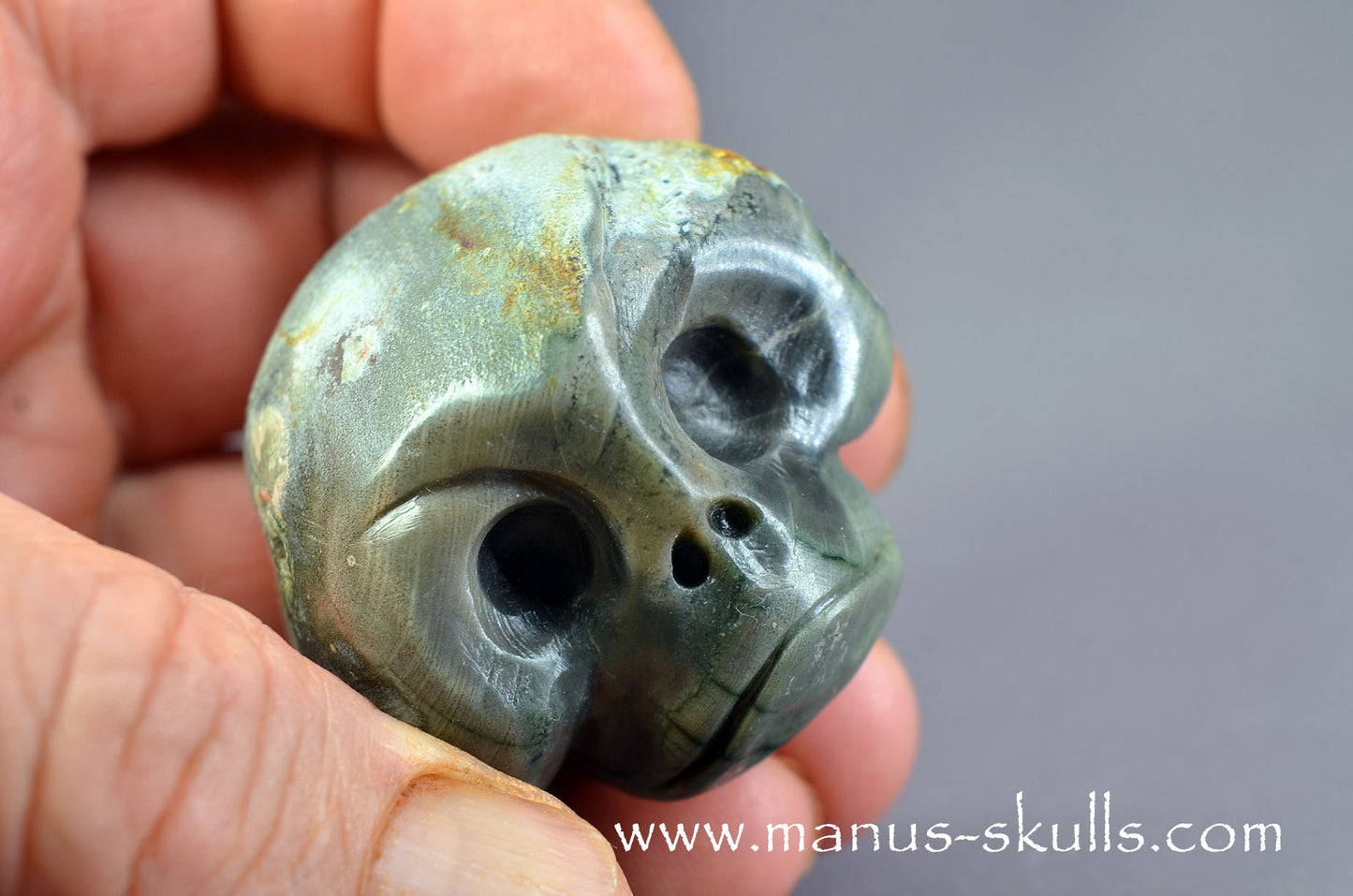 Lierbach Agate Thunderegg Baby Skull