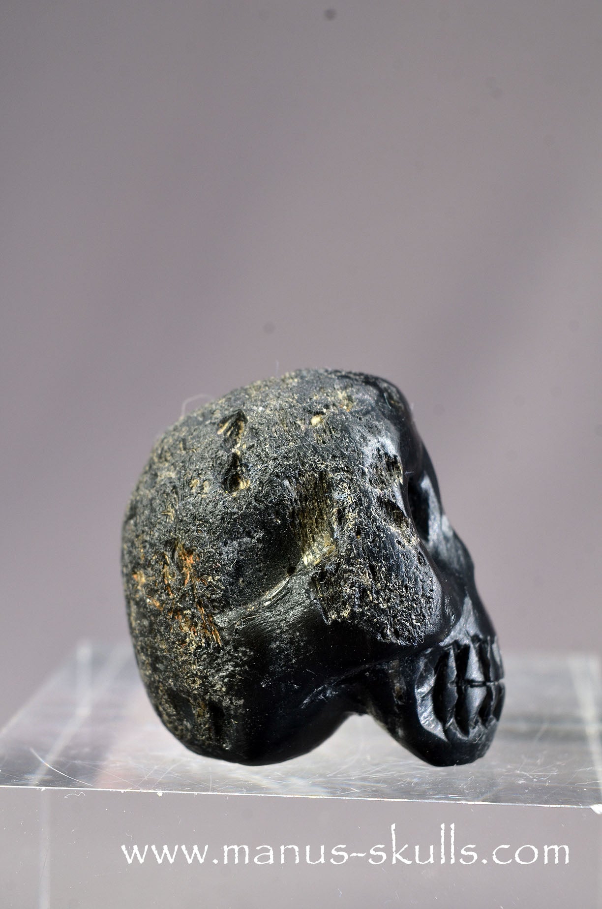 Agni Manitite Baby Skull
