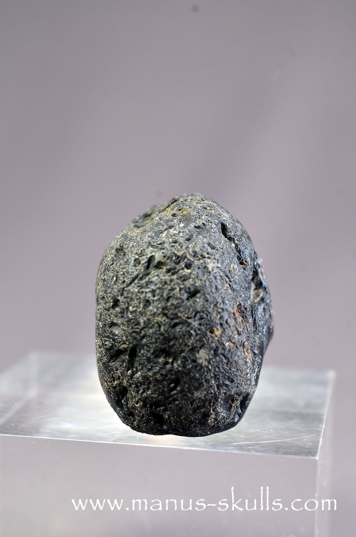 Agni Manitite Baby Skull