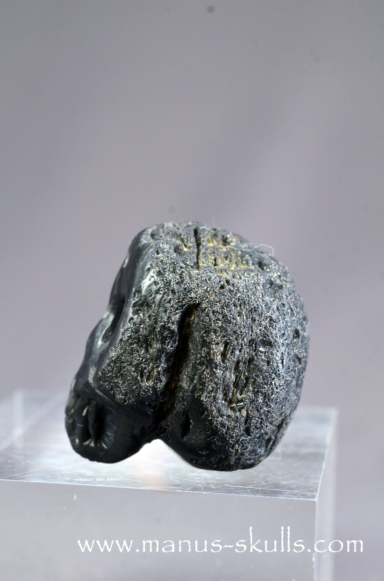 Agni Manitite Baby Skull
