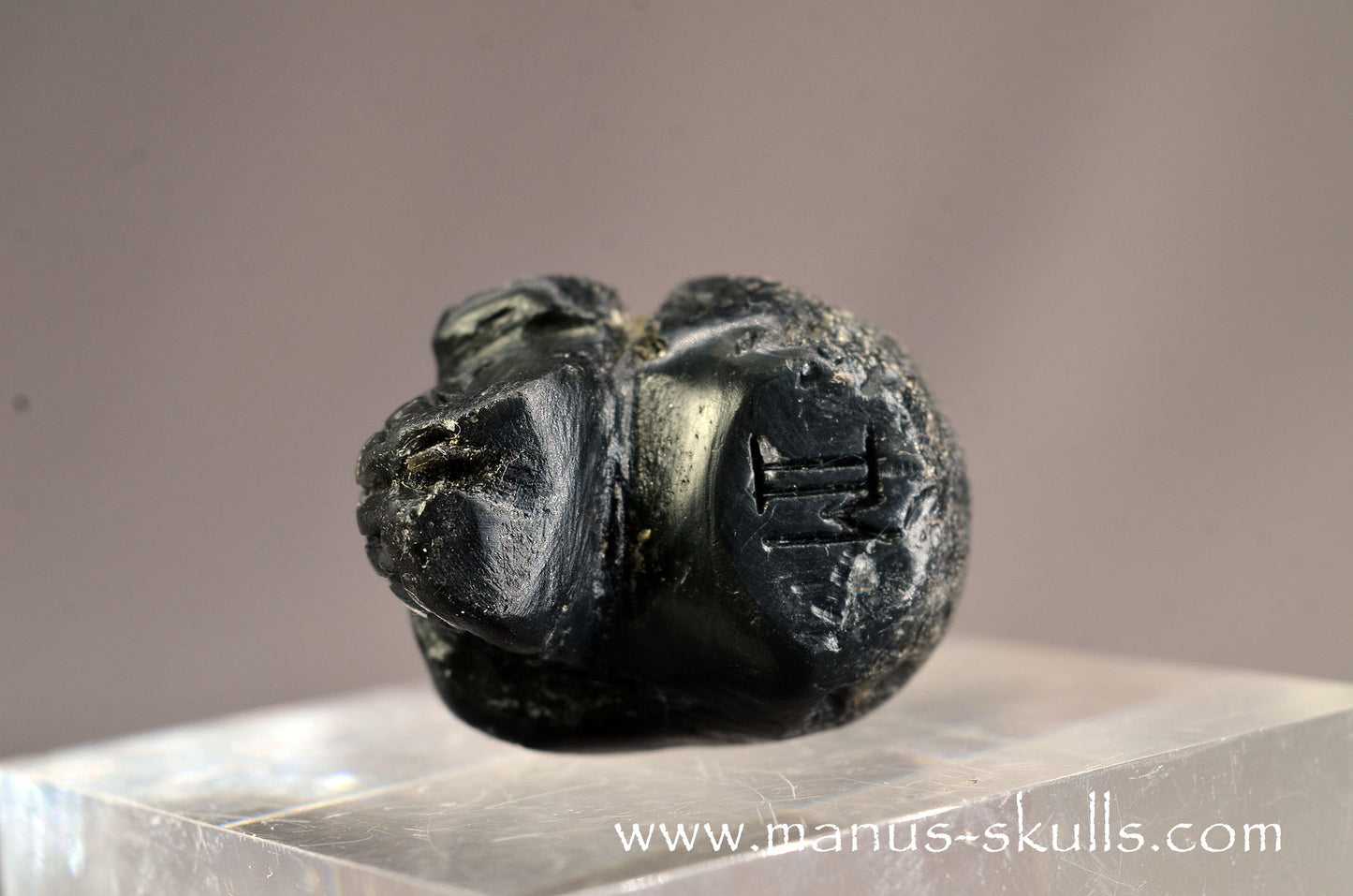 Agni Manitite Baby Skull
