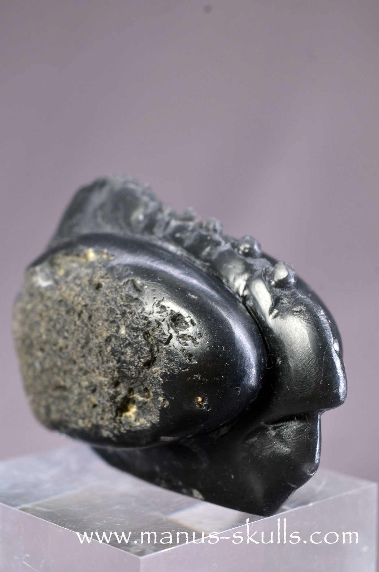 Agni Manitite Dragolian (#035)