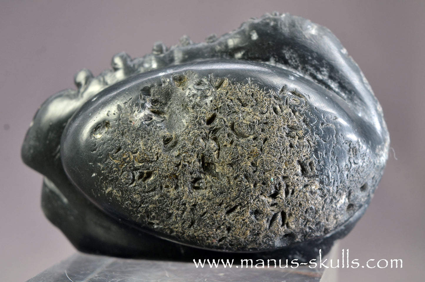 Agni Manitite Dragolian (#035)