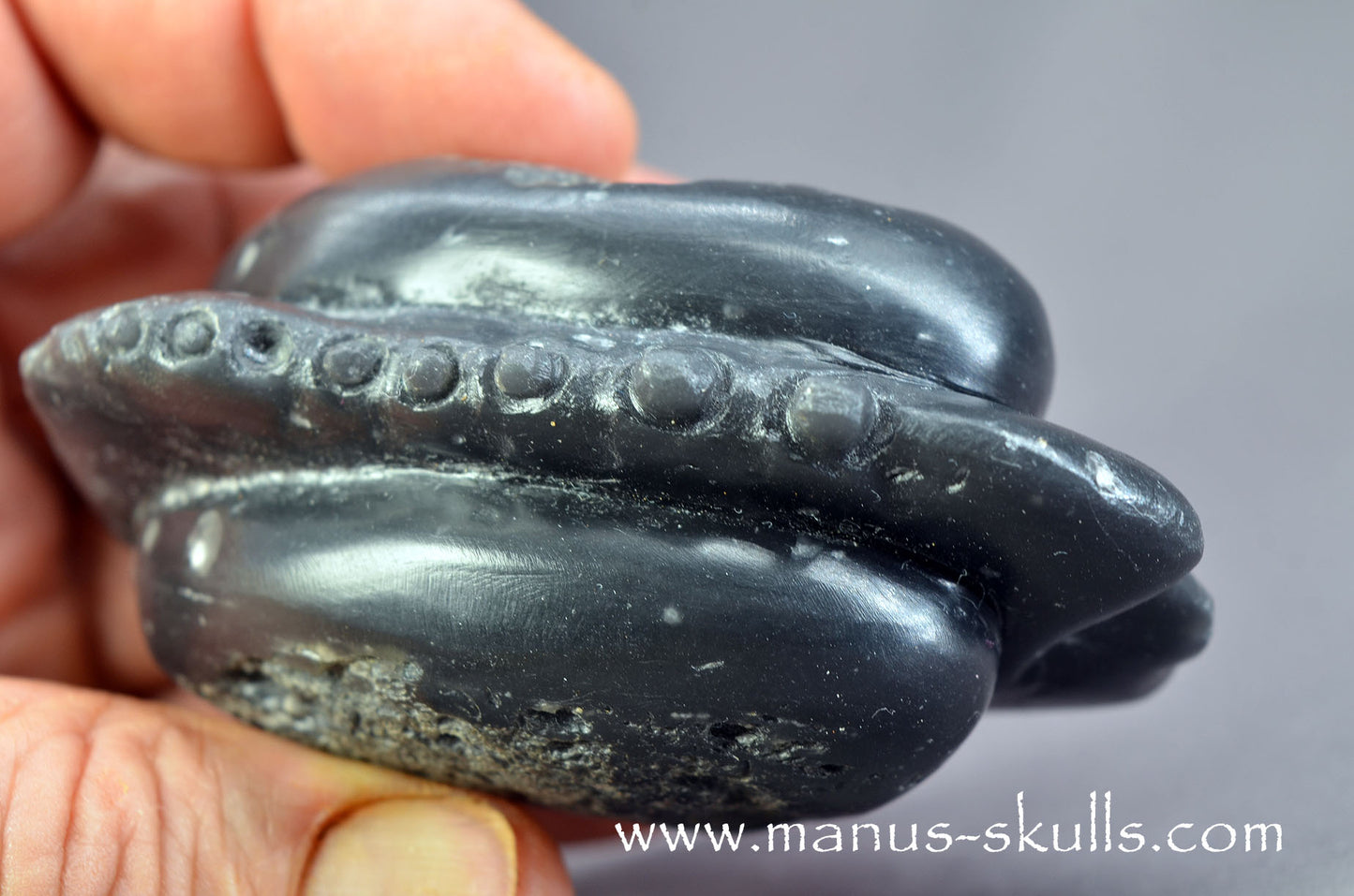 Agni Manitite Dragolian (#035)