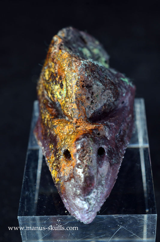 Manus skulls unique Crystal Carvings handmade skulls dragons pendants preseli bluestone tribals spiritual meaning wand Unicorn ..  cuprite bird skull dragon