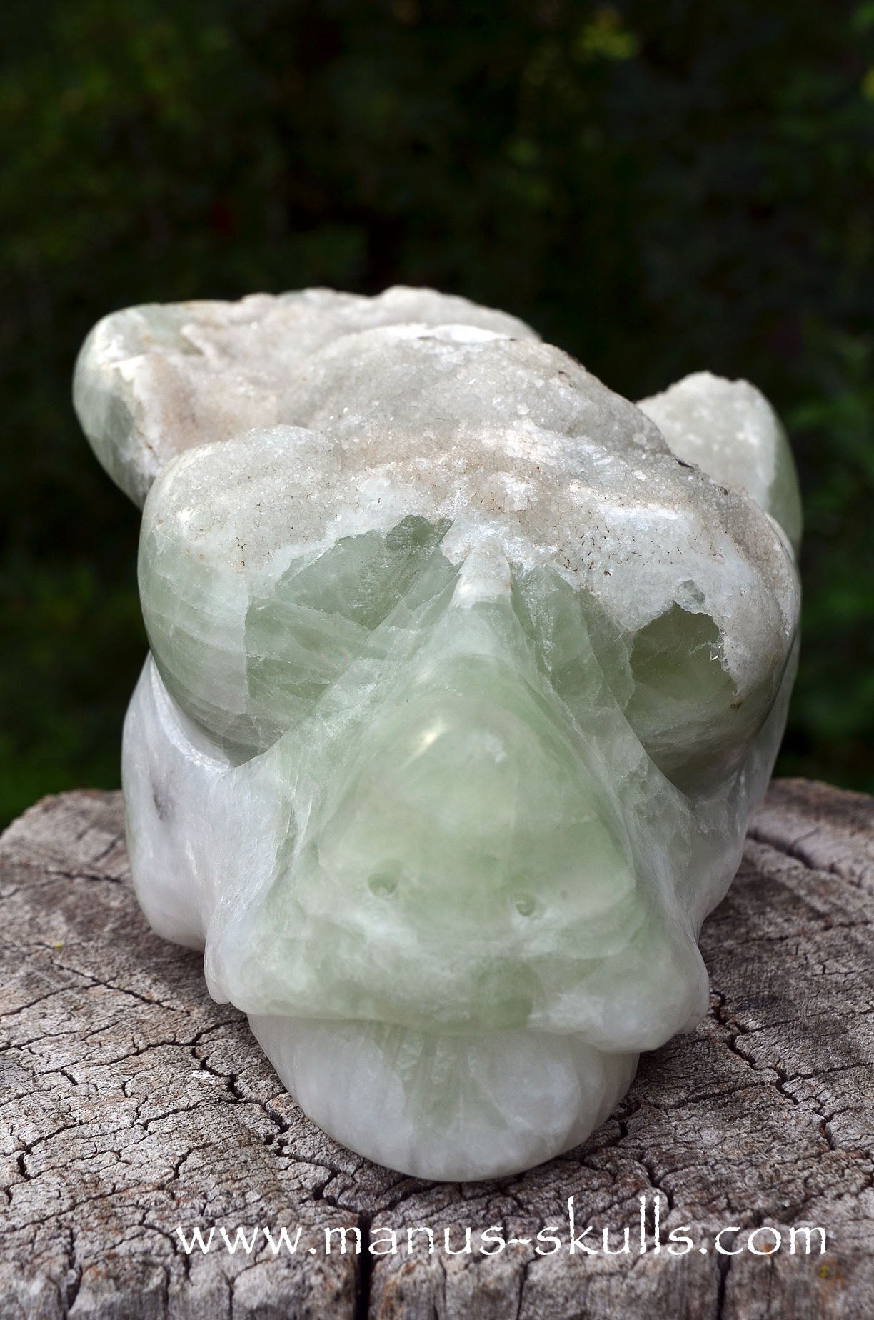 Manus skulls Evolians Dragolians unique Crystal Carvings handmade skulls dragons pendants preseli bluestone tribals spiritual meaning wand Unicorn ..  apophyllite