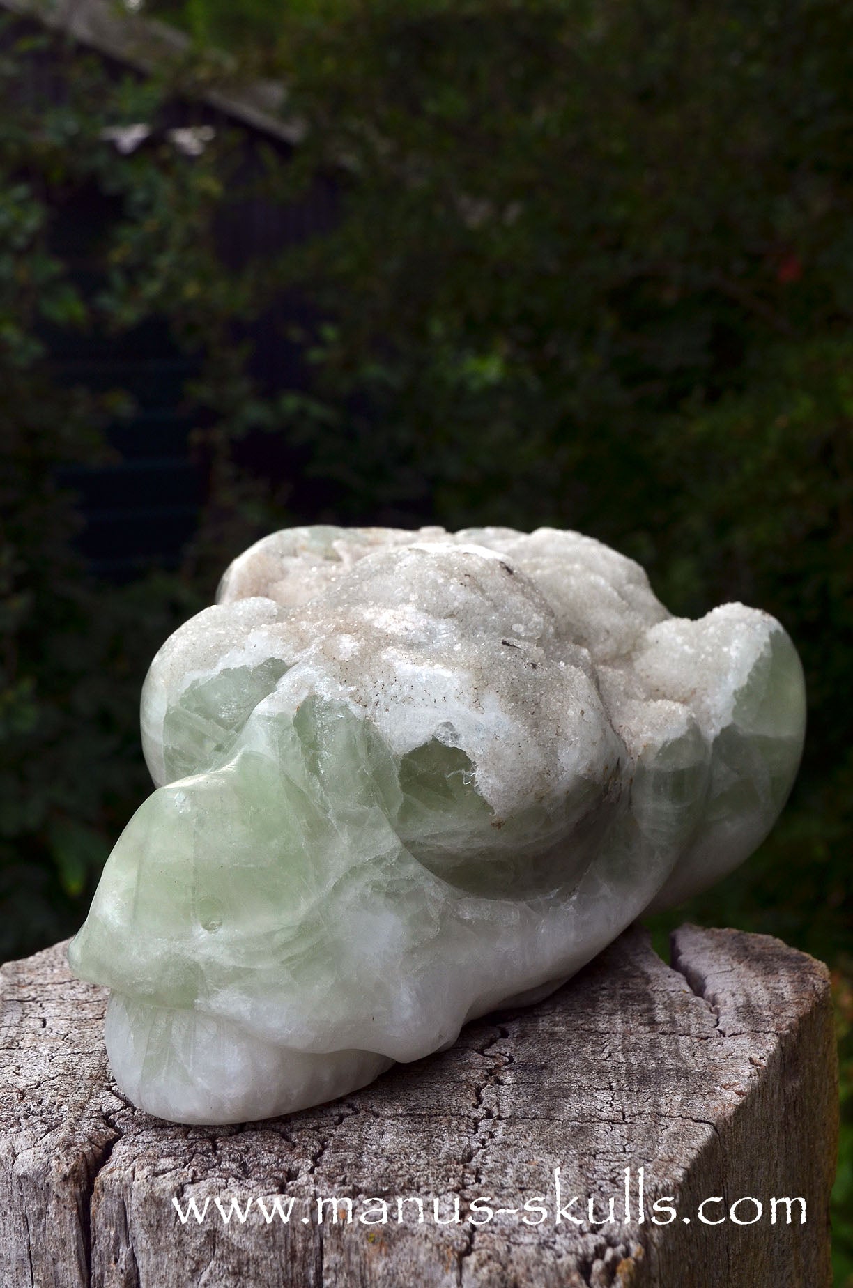 Large Apophyllite Dragolian (#36)