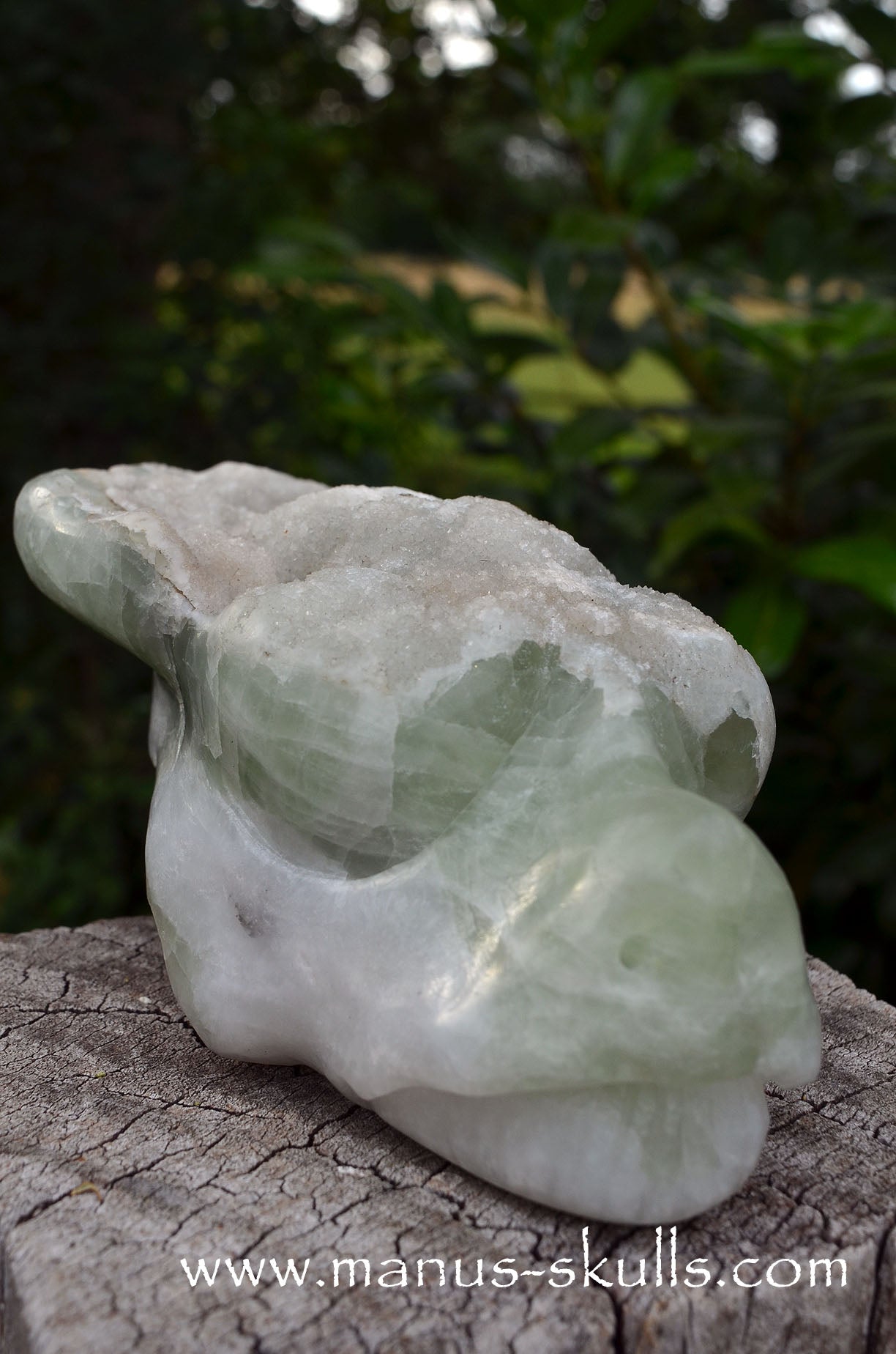 Manus skulls Evolians Dragolians unique Crystal Carvings handmade skulls dragons pendants preseli bluestone tribals spiritual meaning wand Unicorn ..  apophyllite