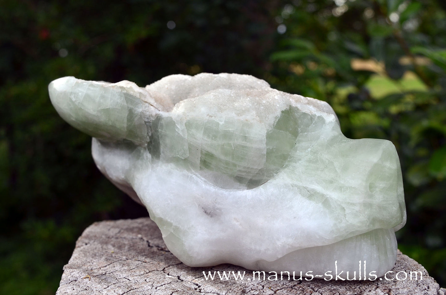 Large Apophyllite Dragolian (#36)