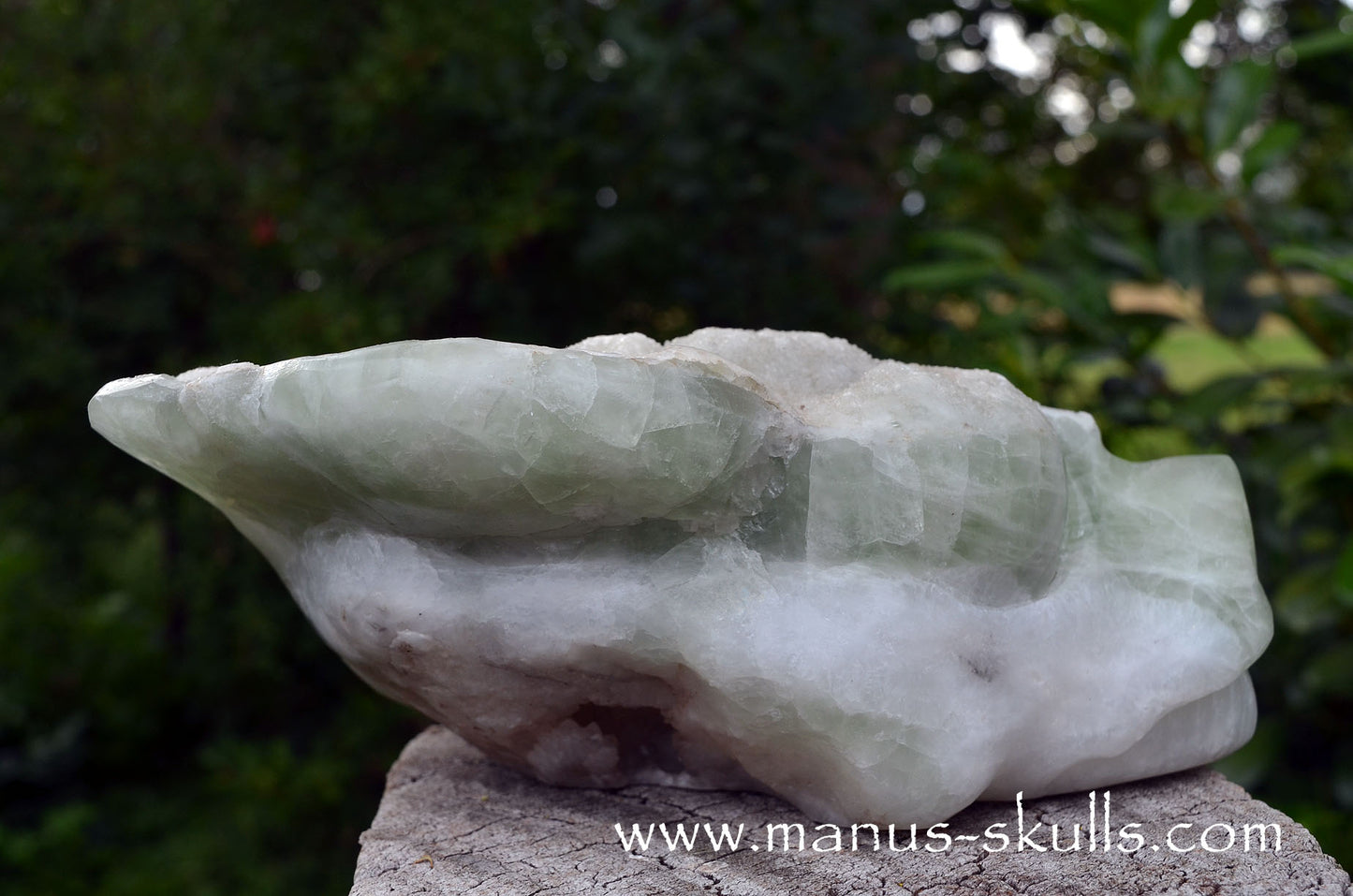 Large Apophyllite Dragolian (#36)