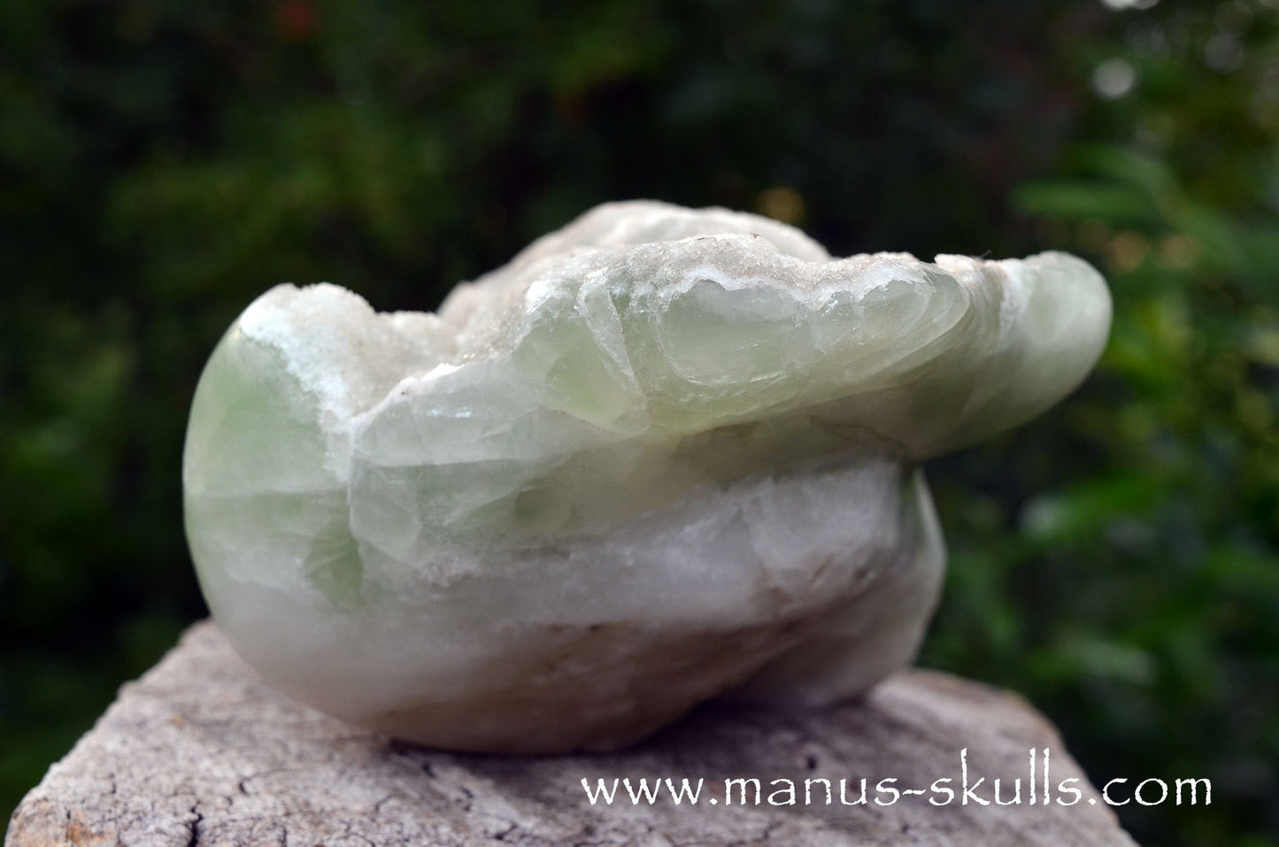 Large Apophyllite Dragolian (#36)